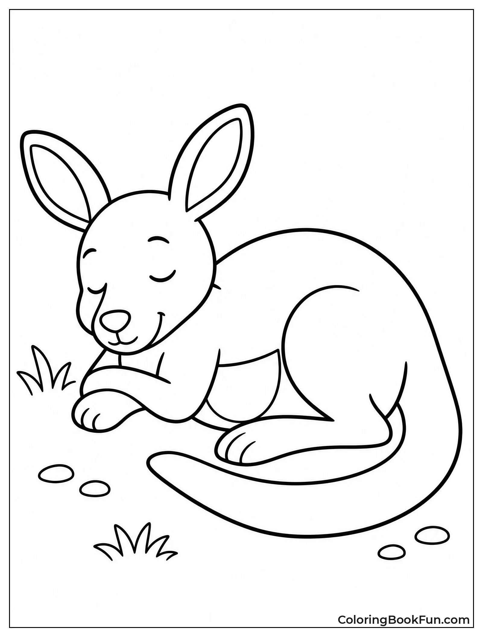 Peaceful Kangaroo Sleeping on Ground