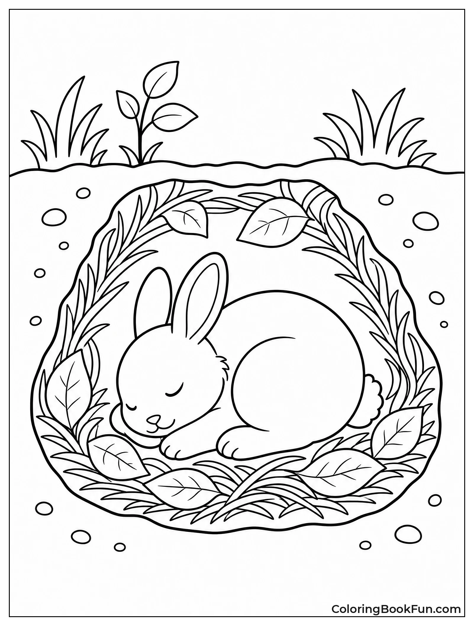 Rabbit Sleeping in Burrow