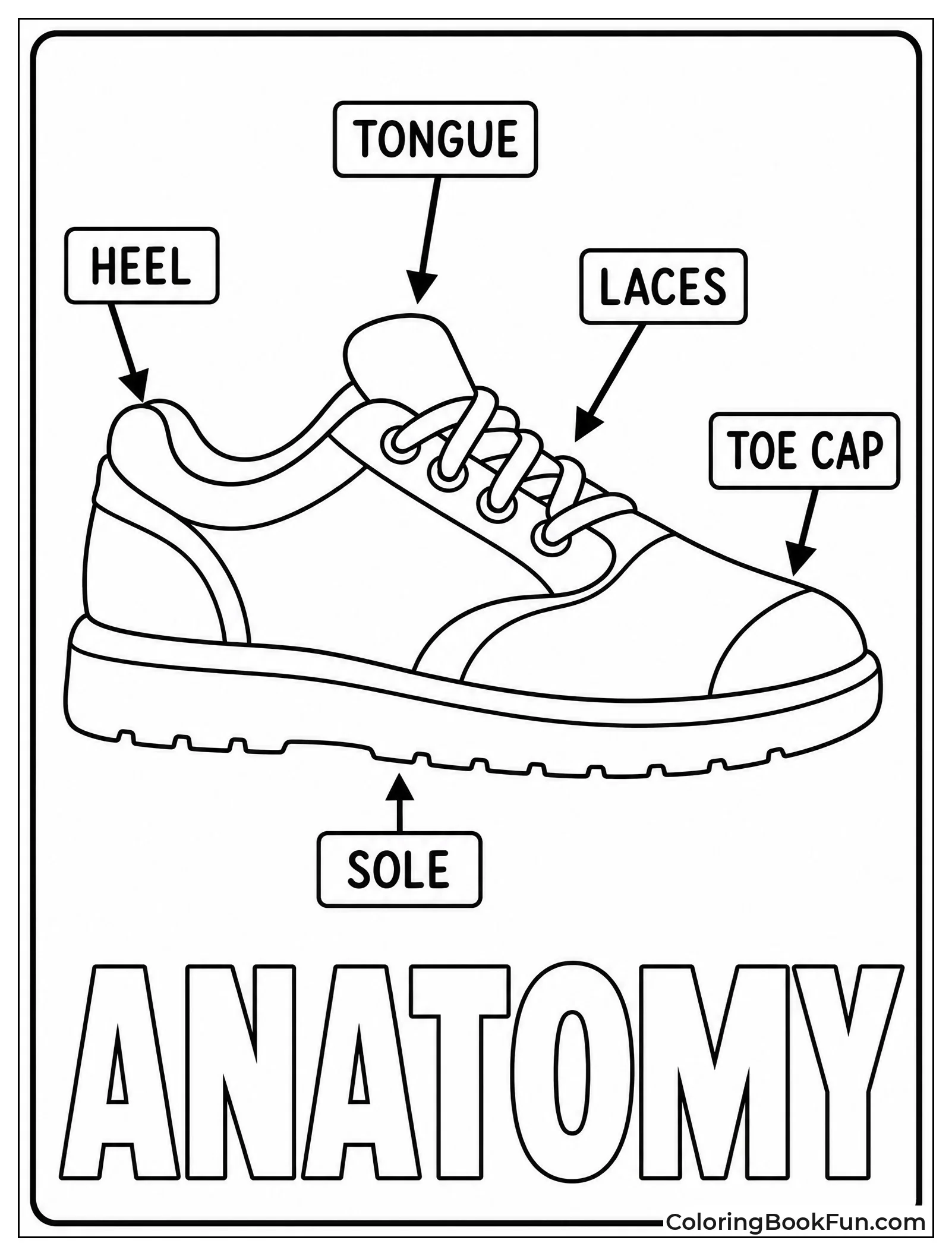 Diagram Showing Parts of a Sneaker