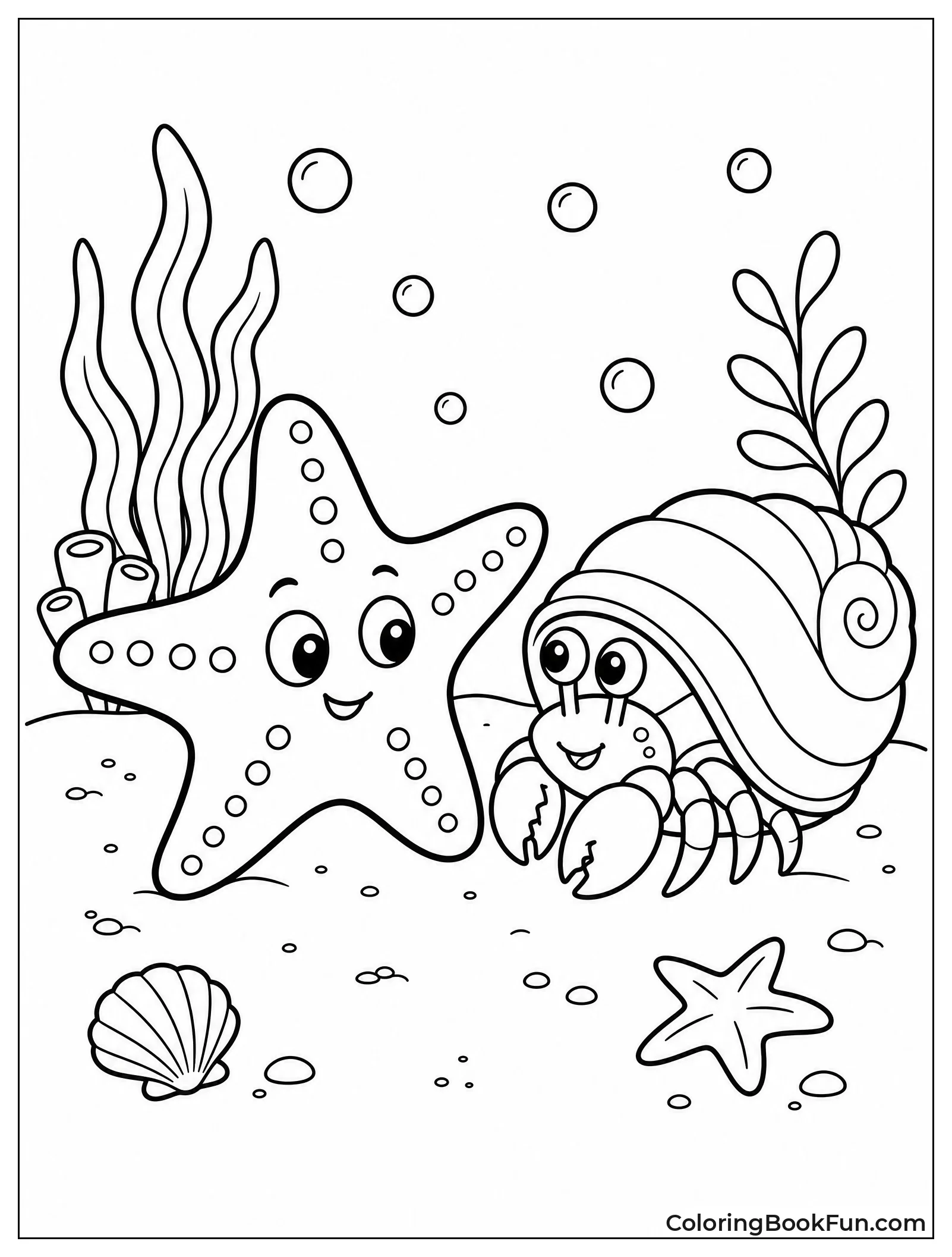 Starfish Meets a Hermit Crab