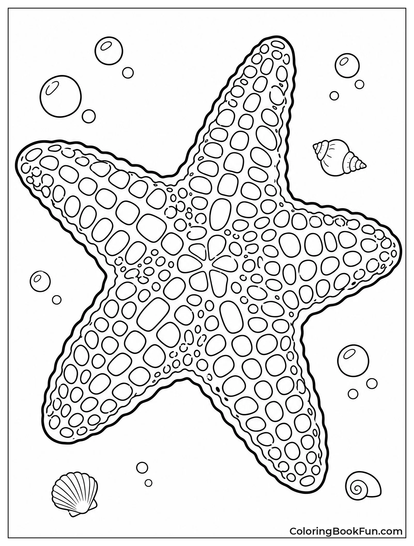 Bumpy Leather Starfish Up Close