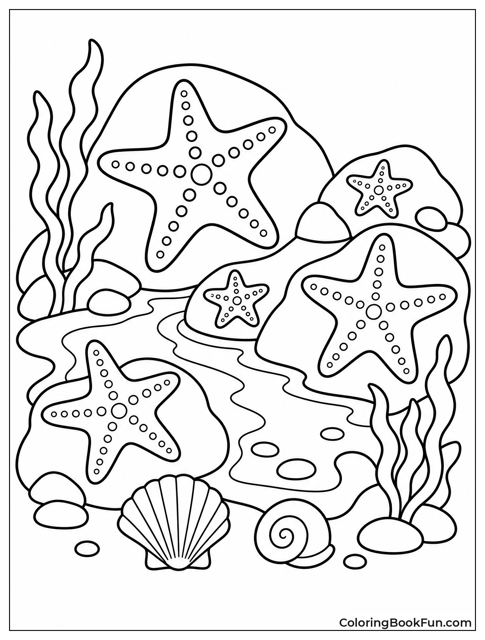 Starfish Clinging to Tide Pool Rocks