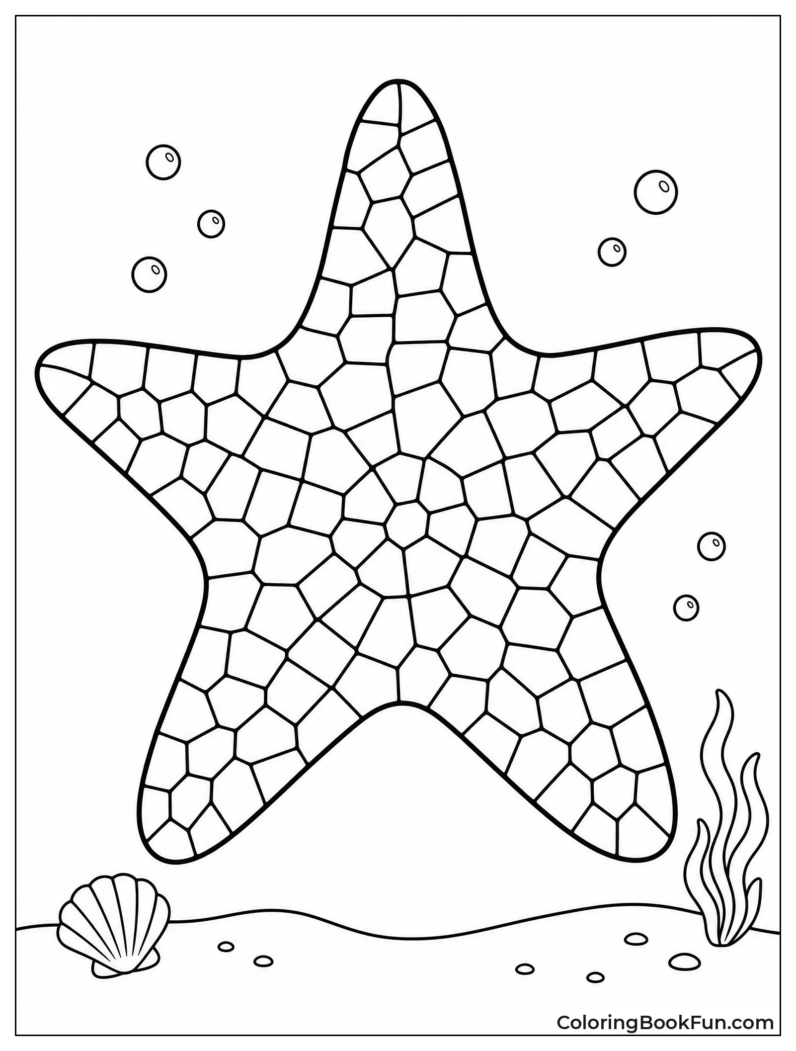 Starfish Made of Mosaic Tiles