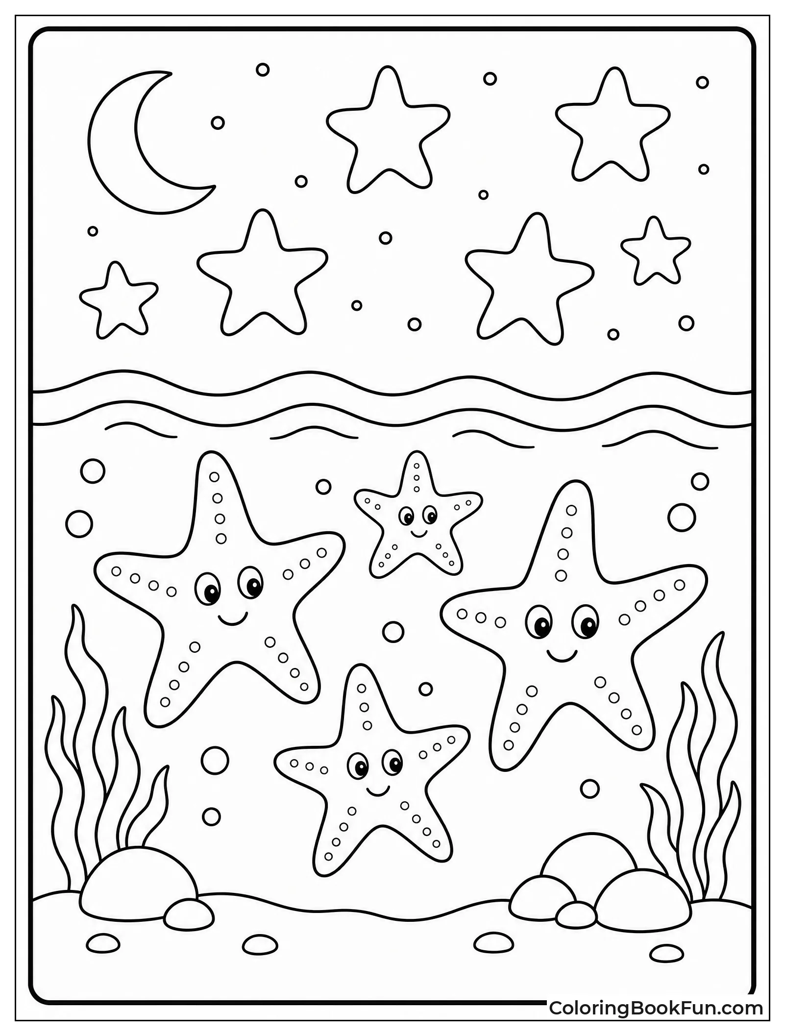 Starfish Reflecting Night Sky Stars