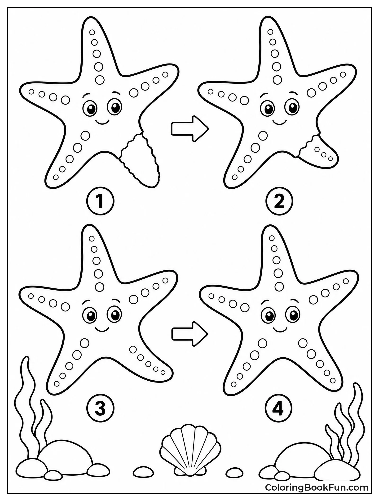 Starfish Growing a New Arm