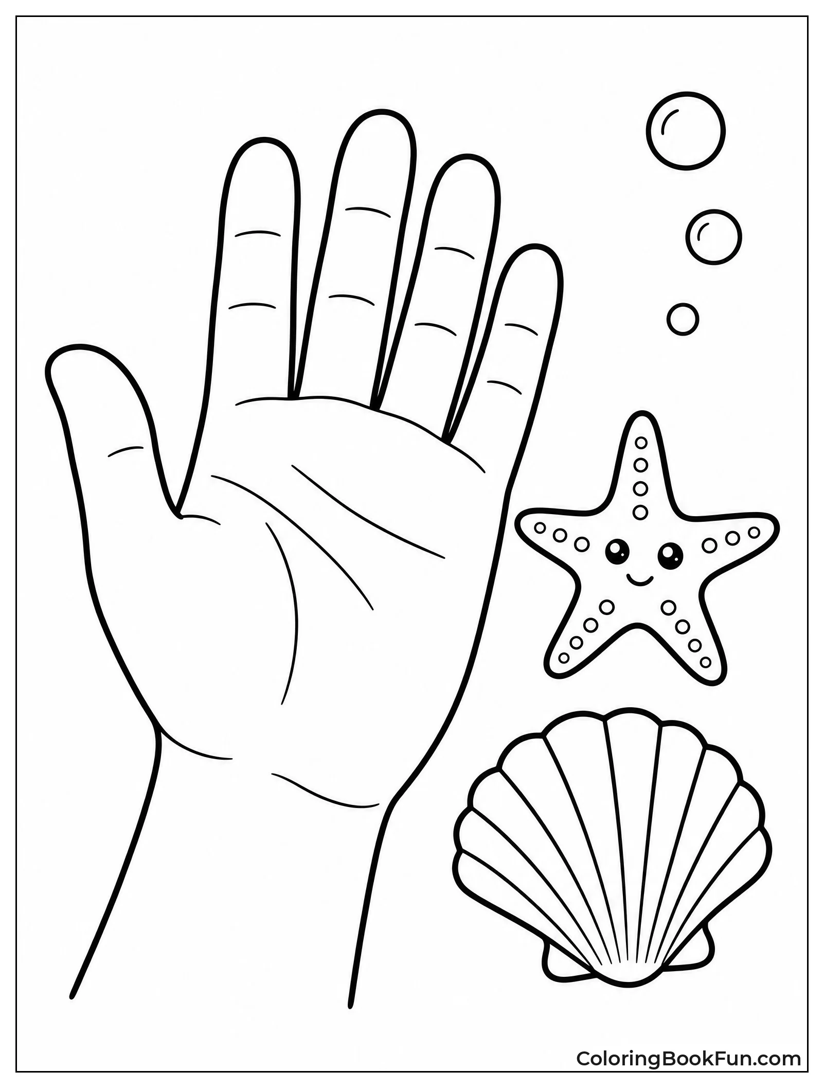 Starfish Compared to Human Hand