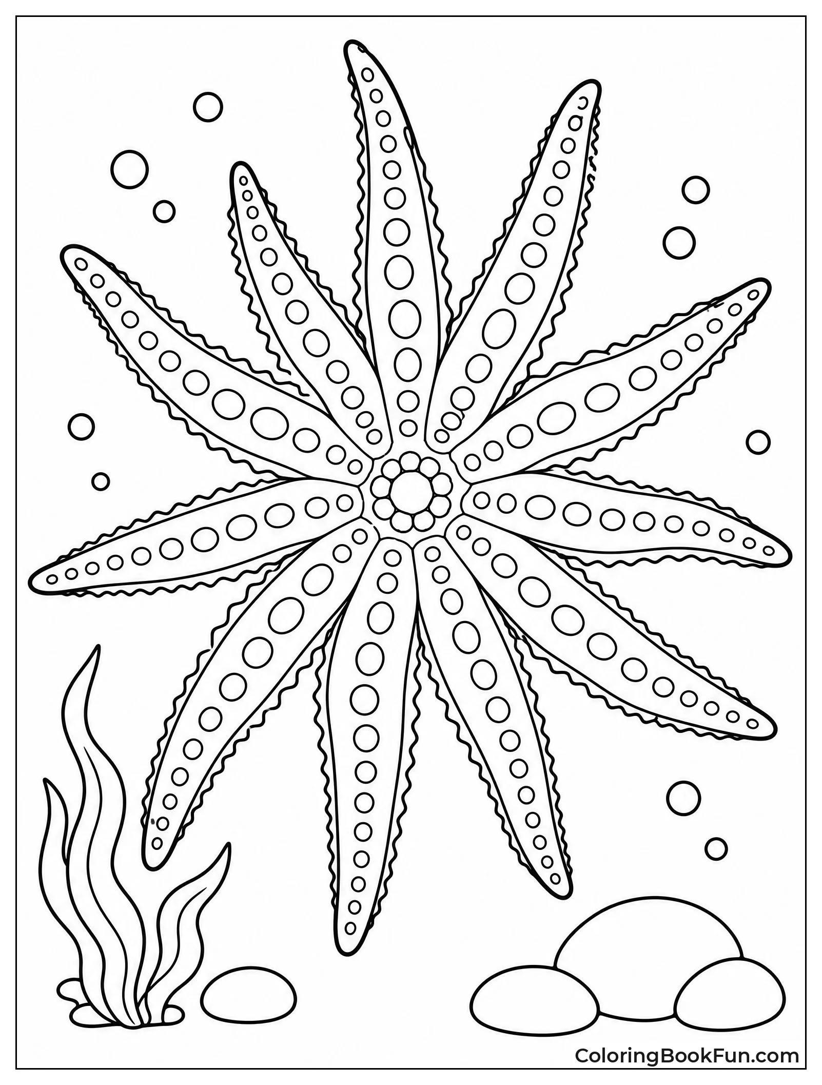 Sun Star with Many Arms