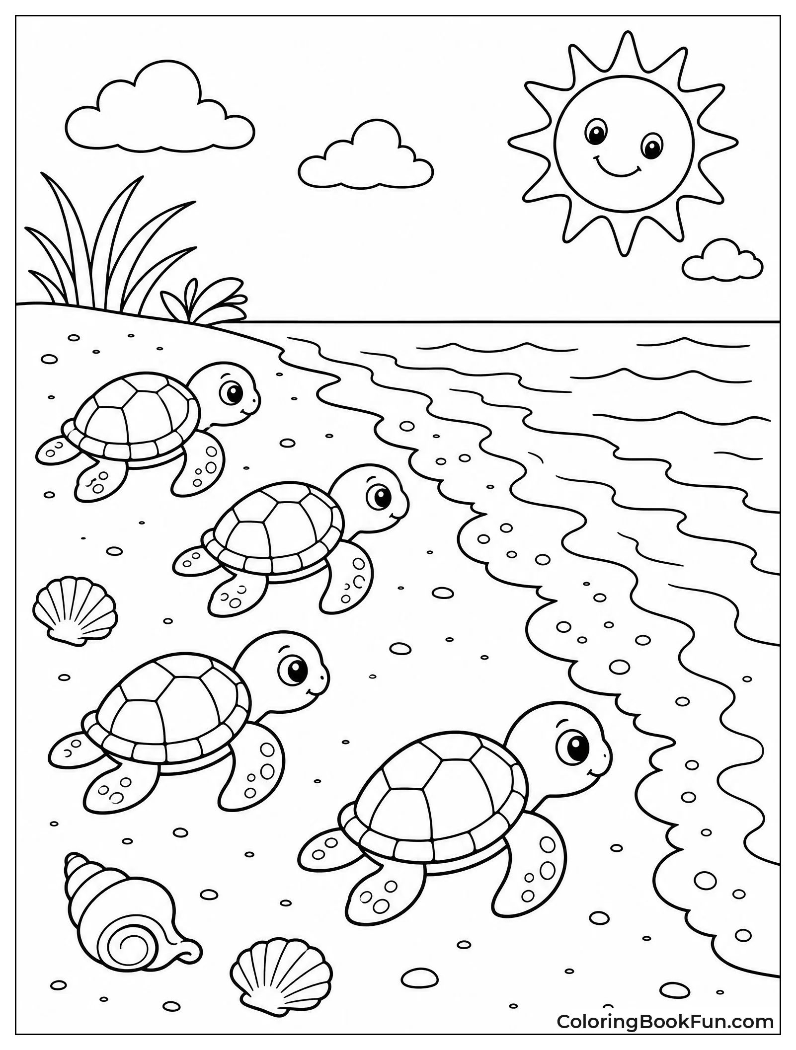 Baby Turtles Heading Home