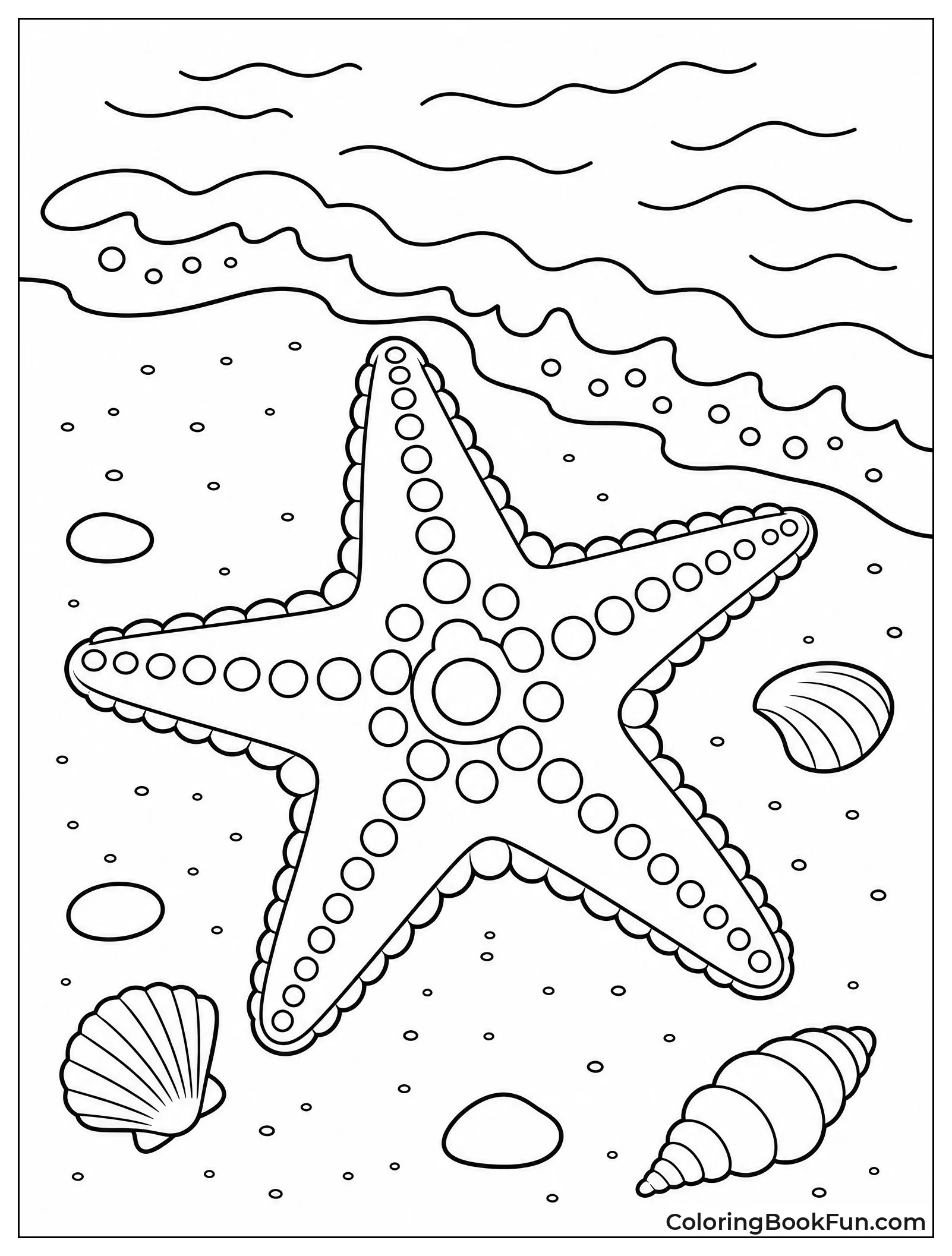 Starfish Resting on Sand