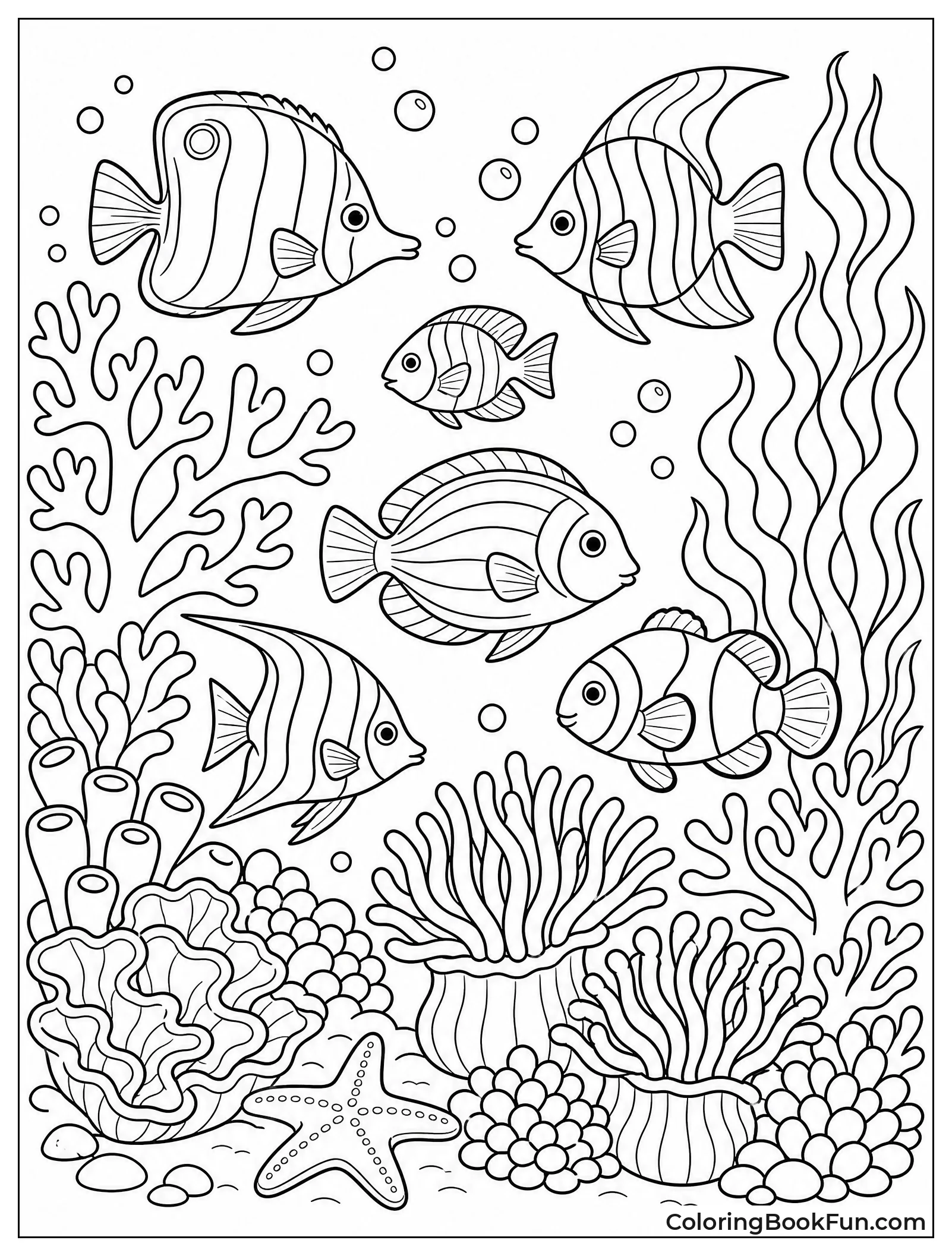 Fish Swimming in Reef