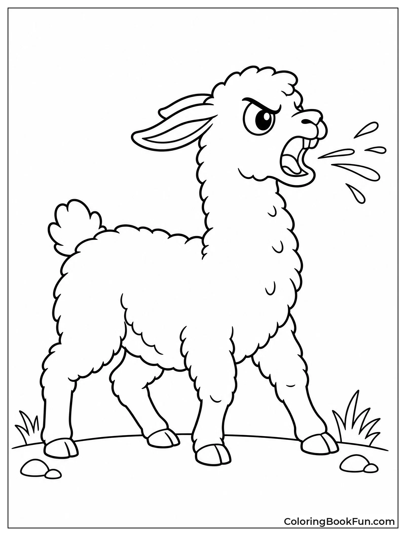 Llama Spitting in Angry Pose