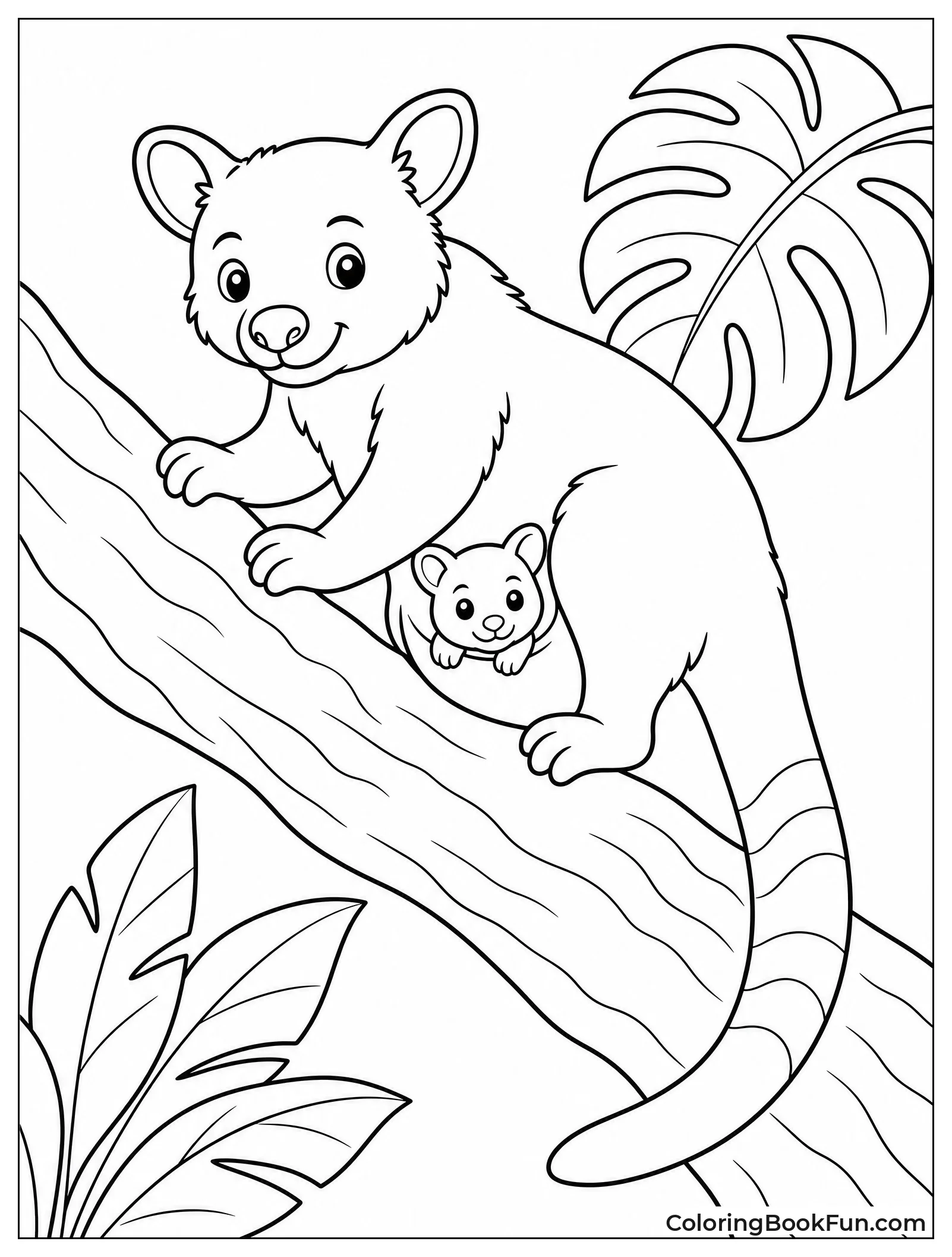 Tree Kangaroo Climbing a Branch