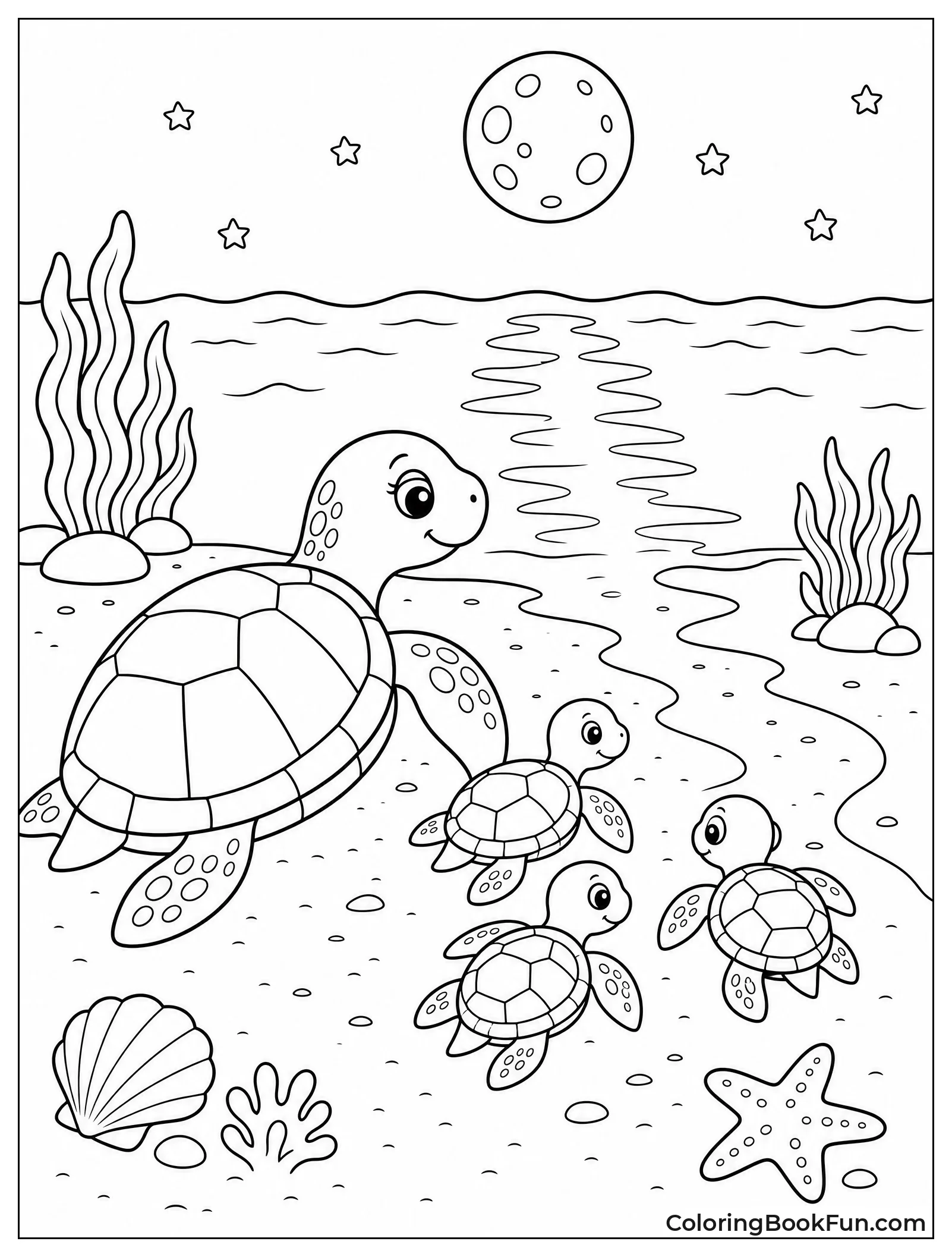 Turtles Head Toward Waves