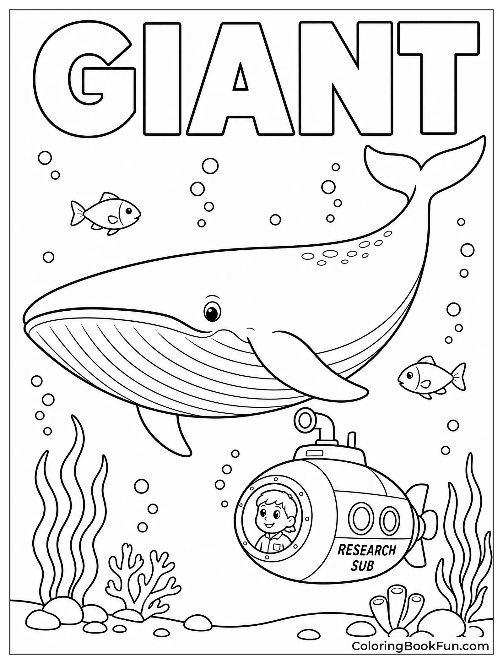 Blue Whale Towers Over Submarine