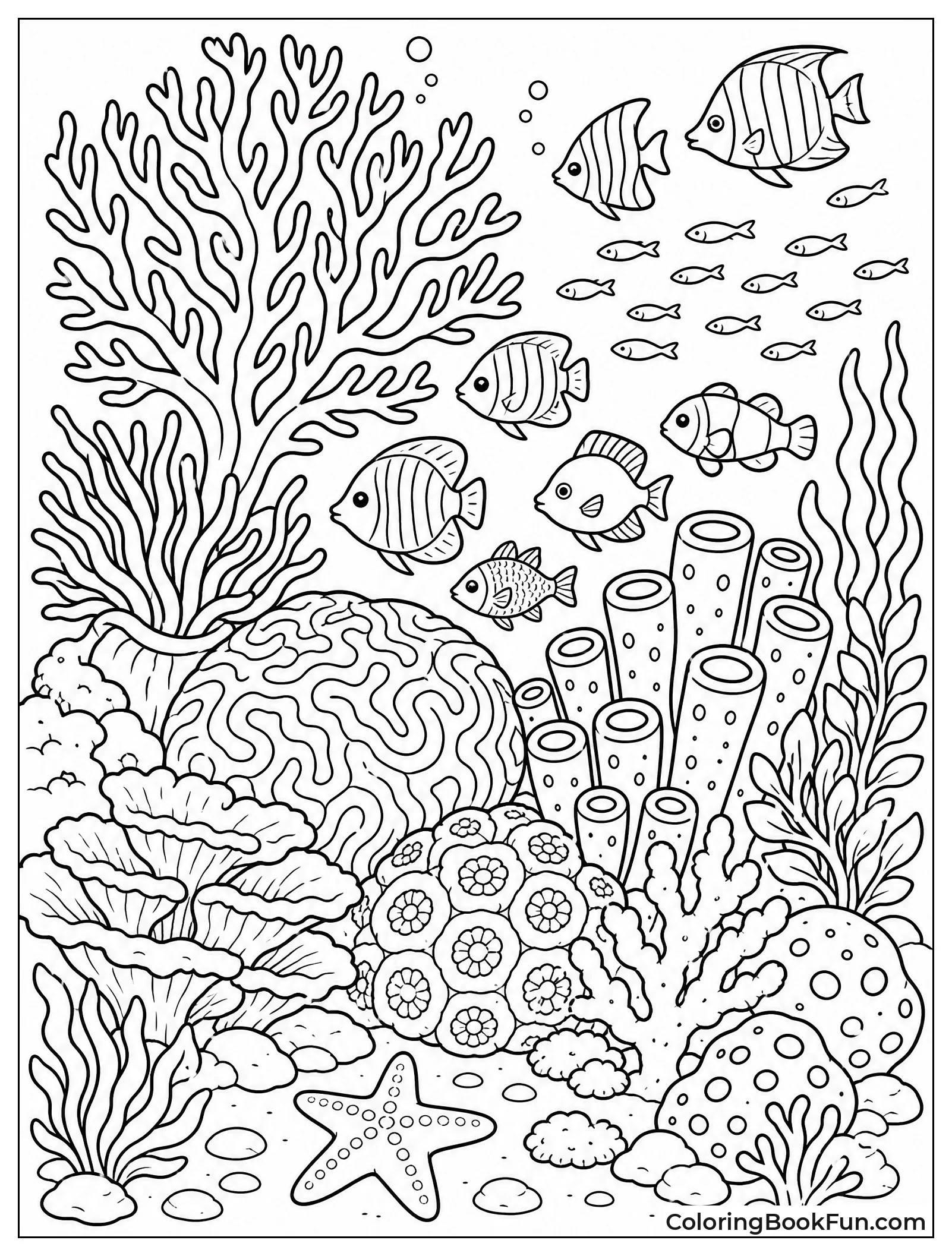 Busy Coral Reef Morning