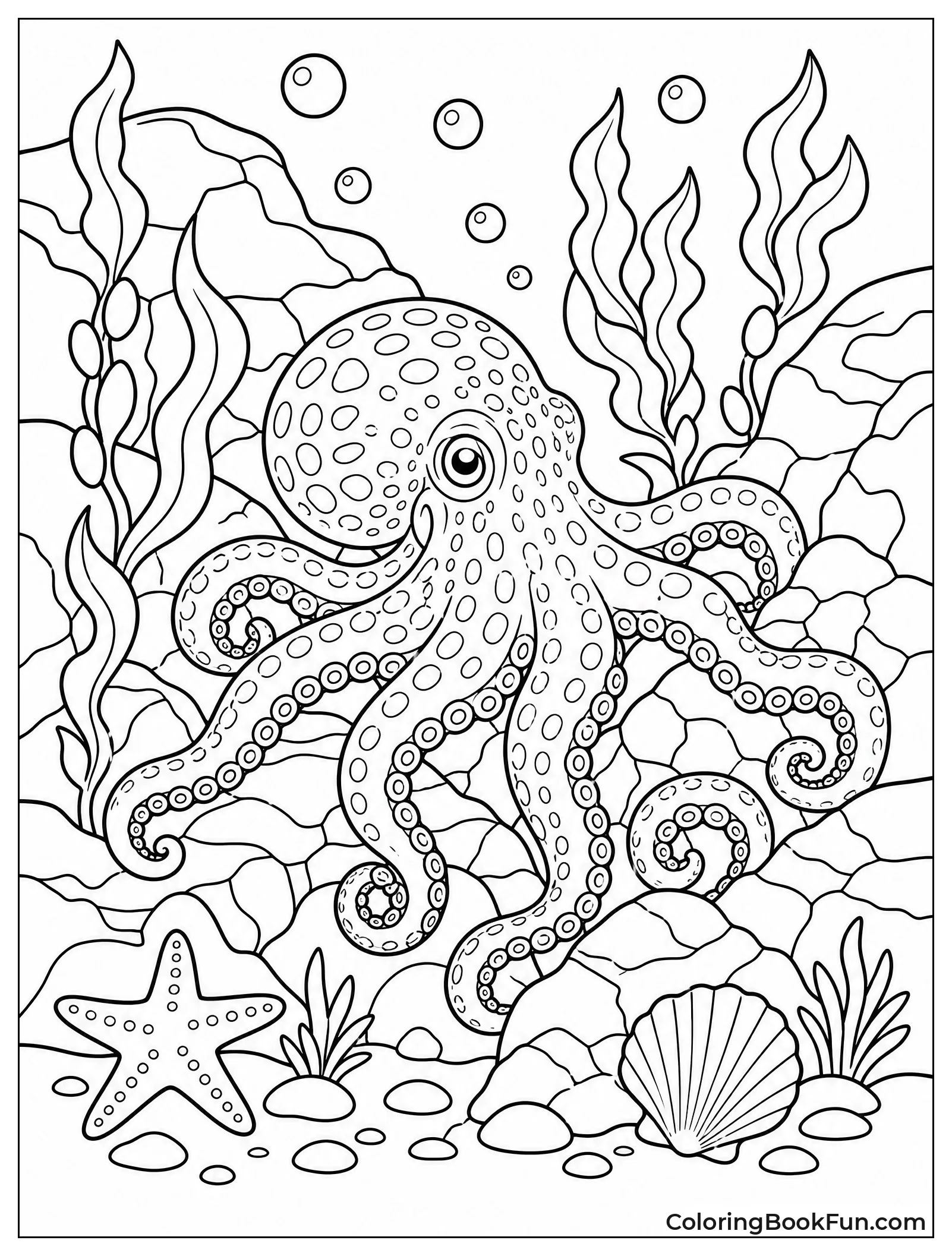 Octopus Blends into Rocks