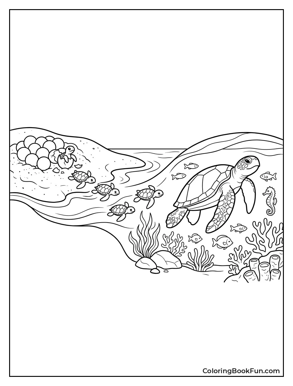 Sea Turtle Life Cycle