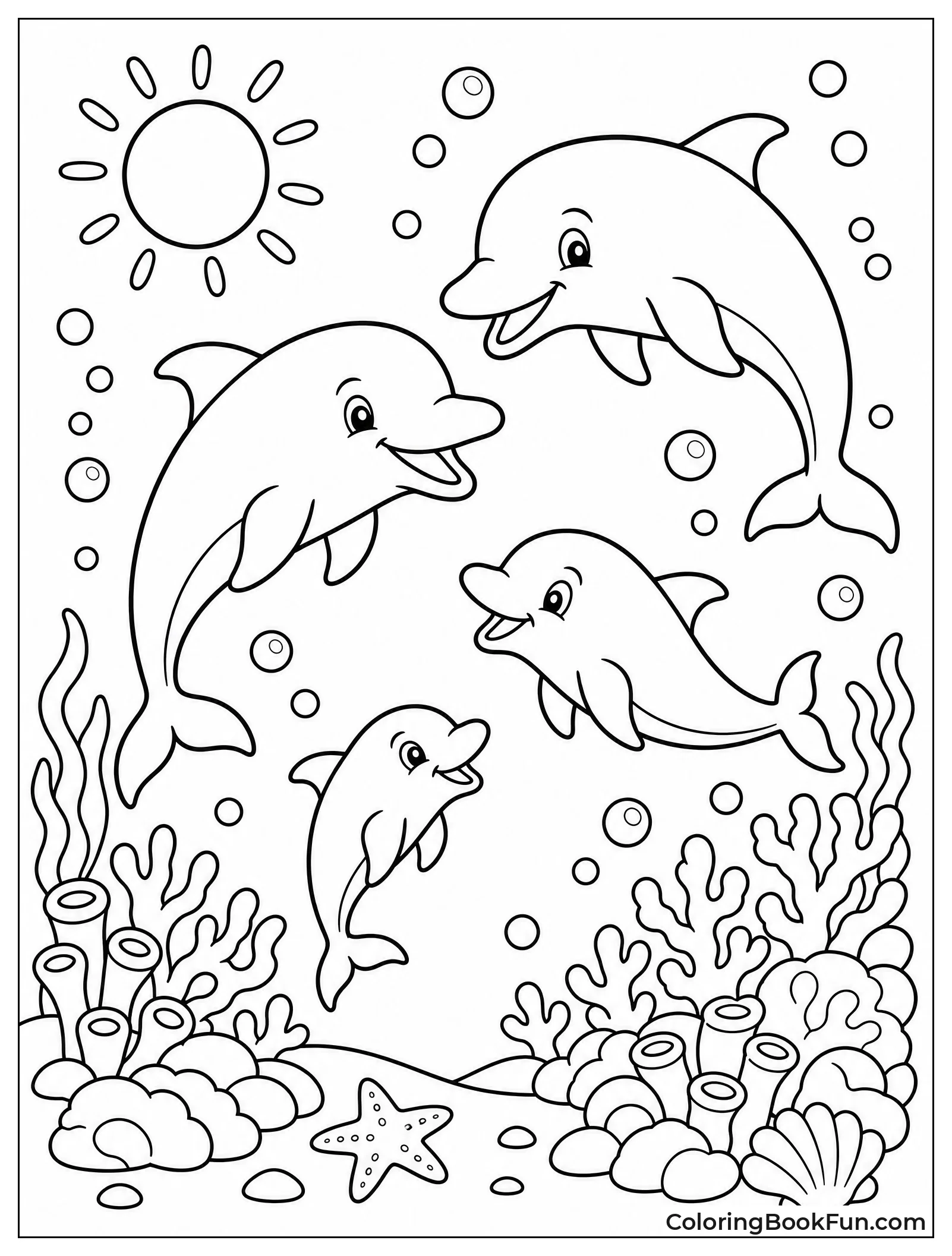 Dolphins Play Near Coral
