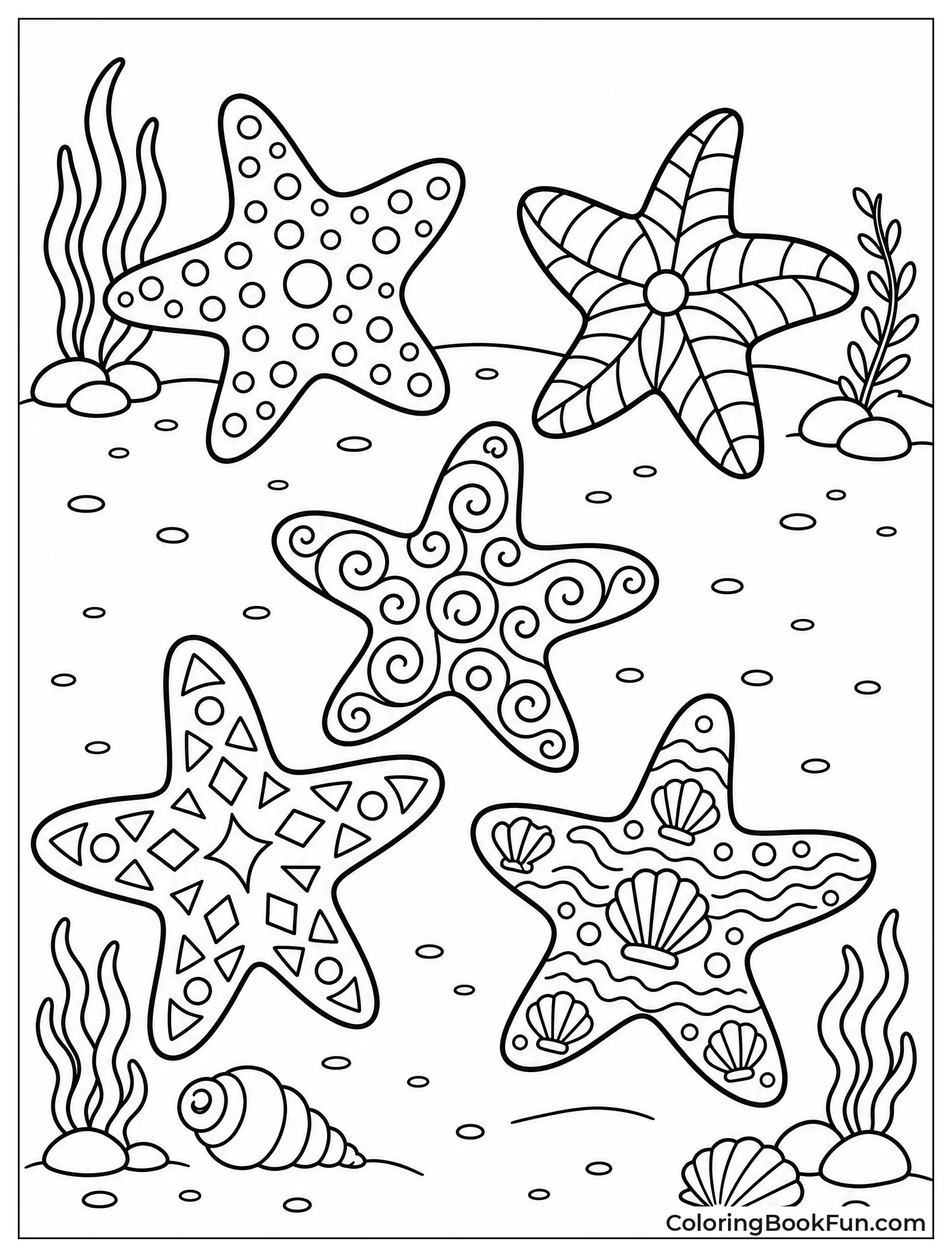 Starfish Show Fancy Patterns