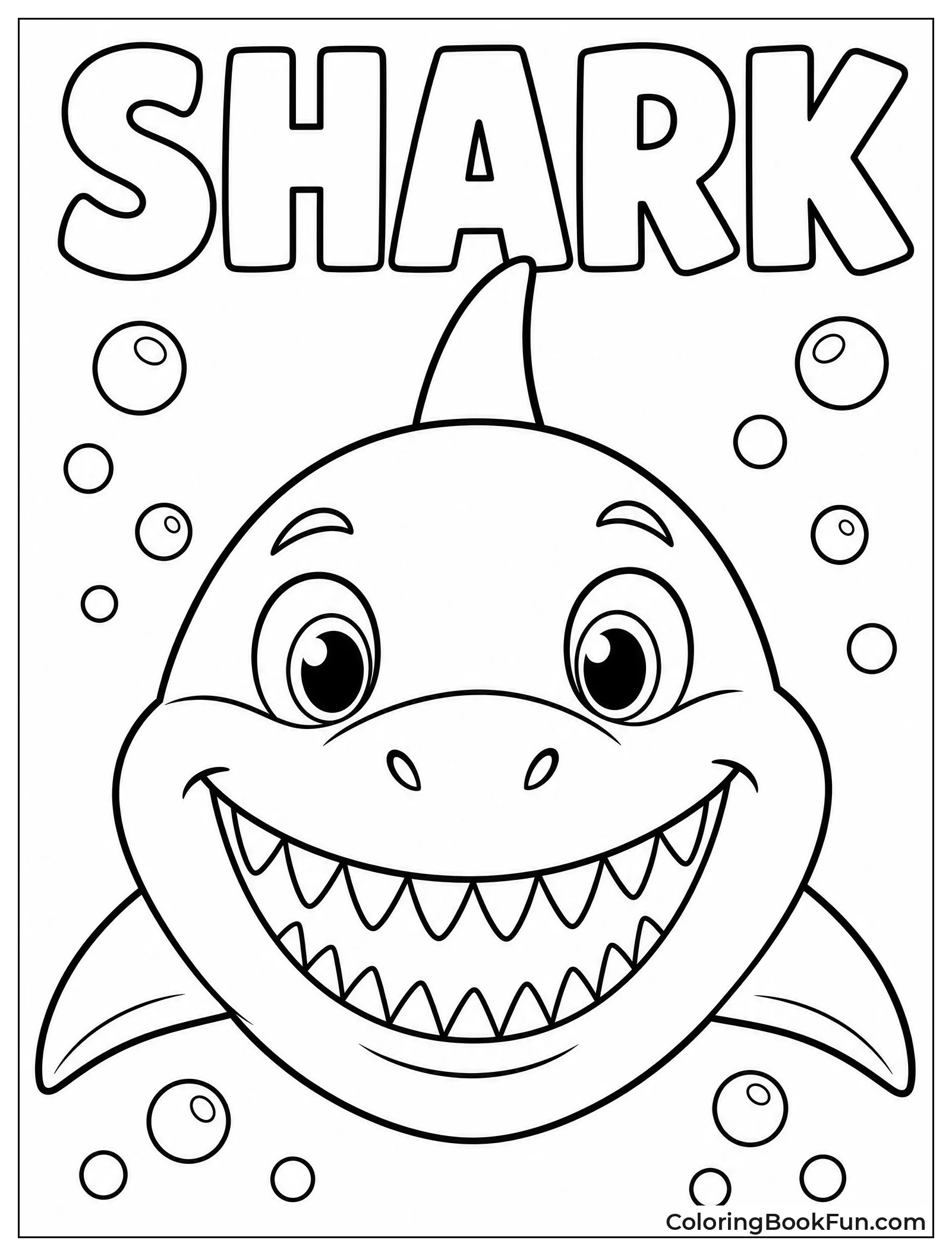 Friendly Shark Face Close Up
