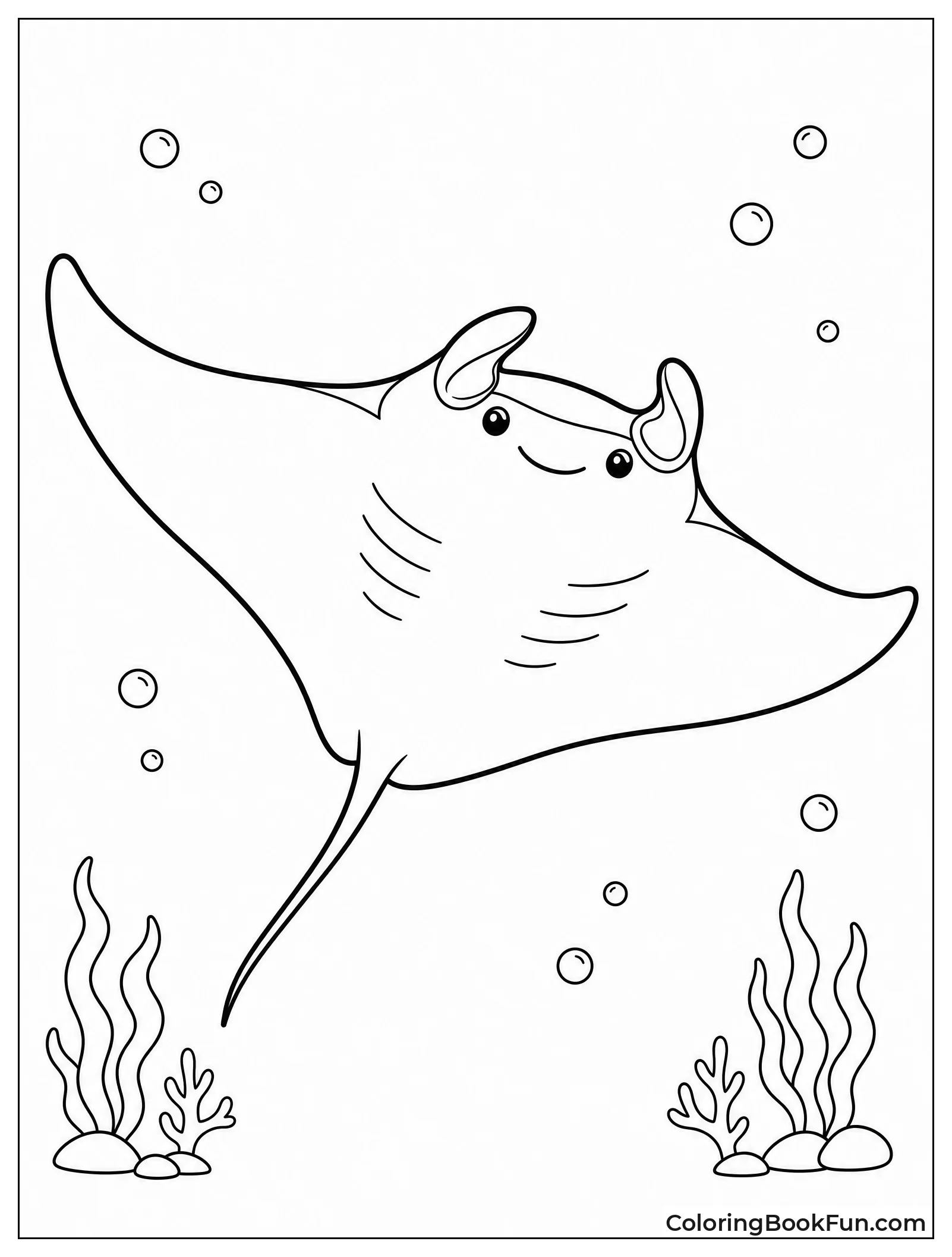 Manta Ray Glides Gracefully