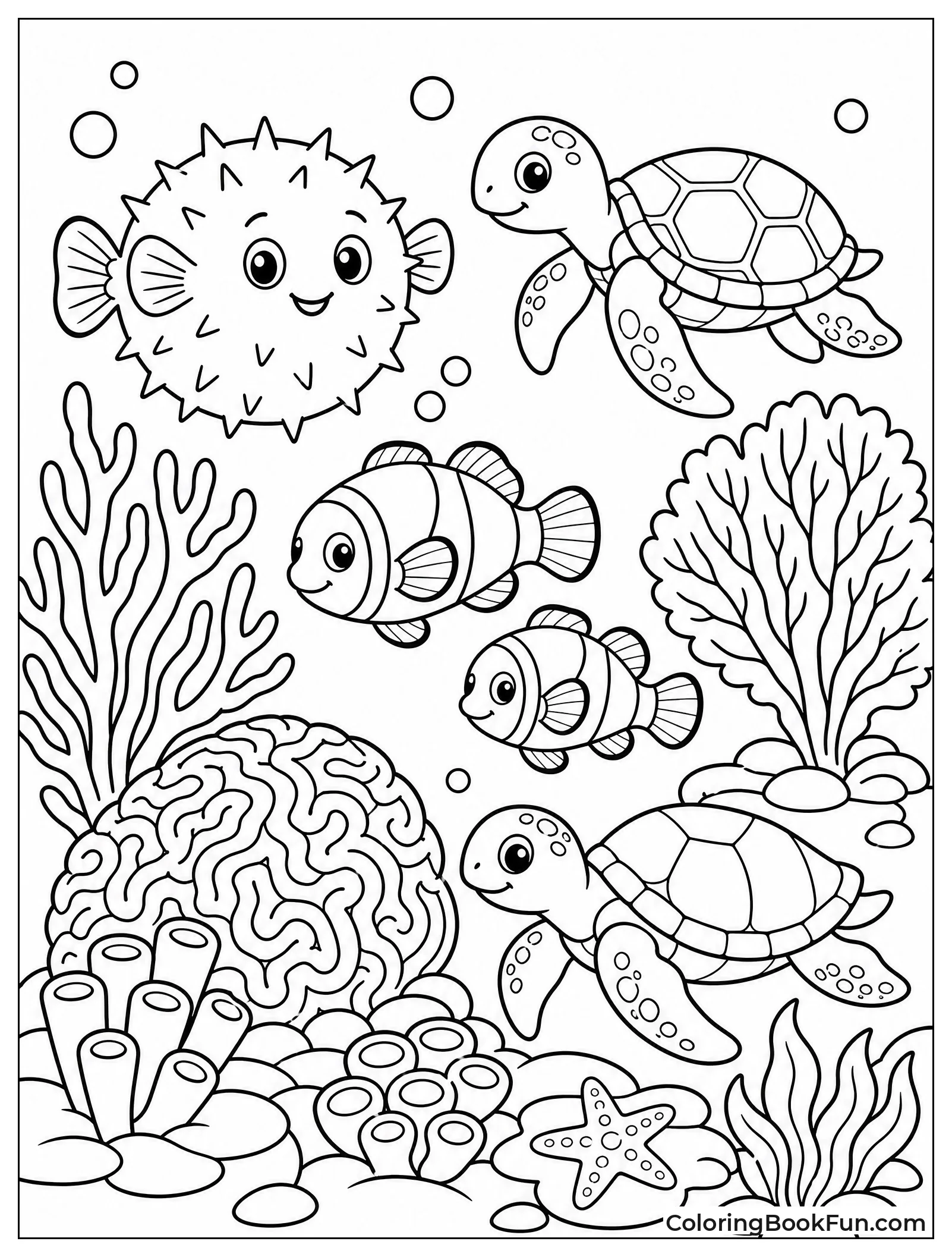 Vibrant Reef Full of Fish