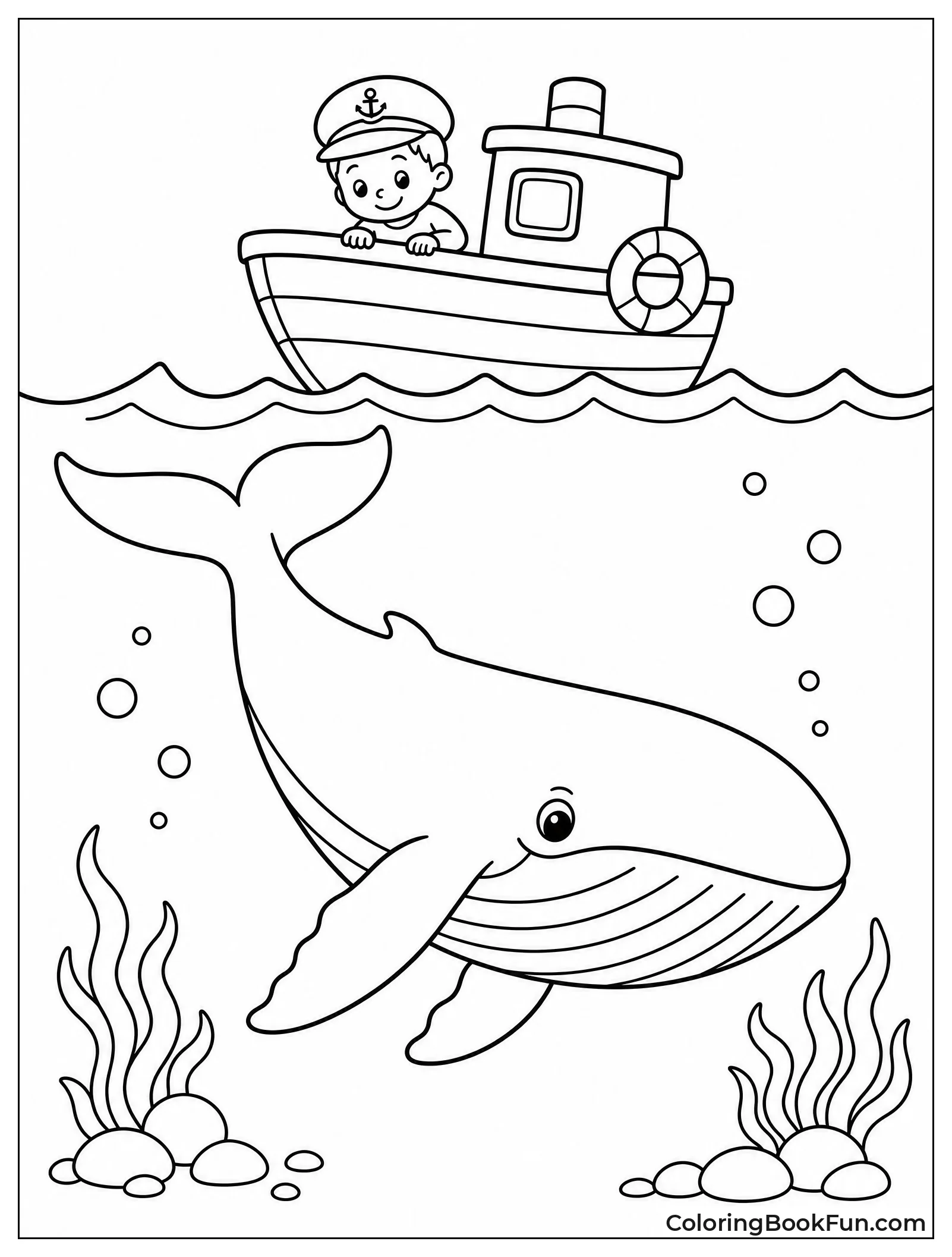 Whale Dives Under Boat