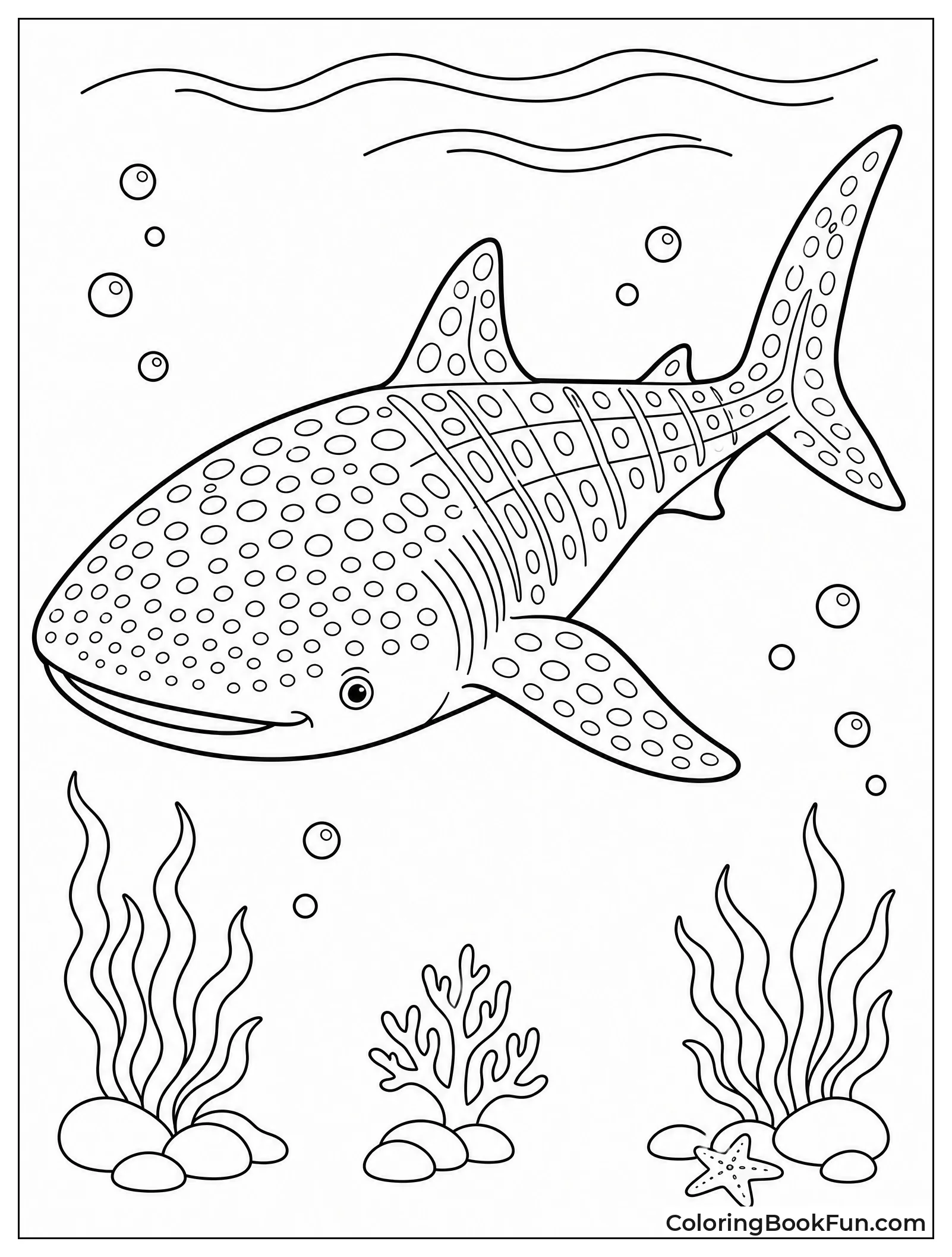 Whale Shark Shows Its Spots