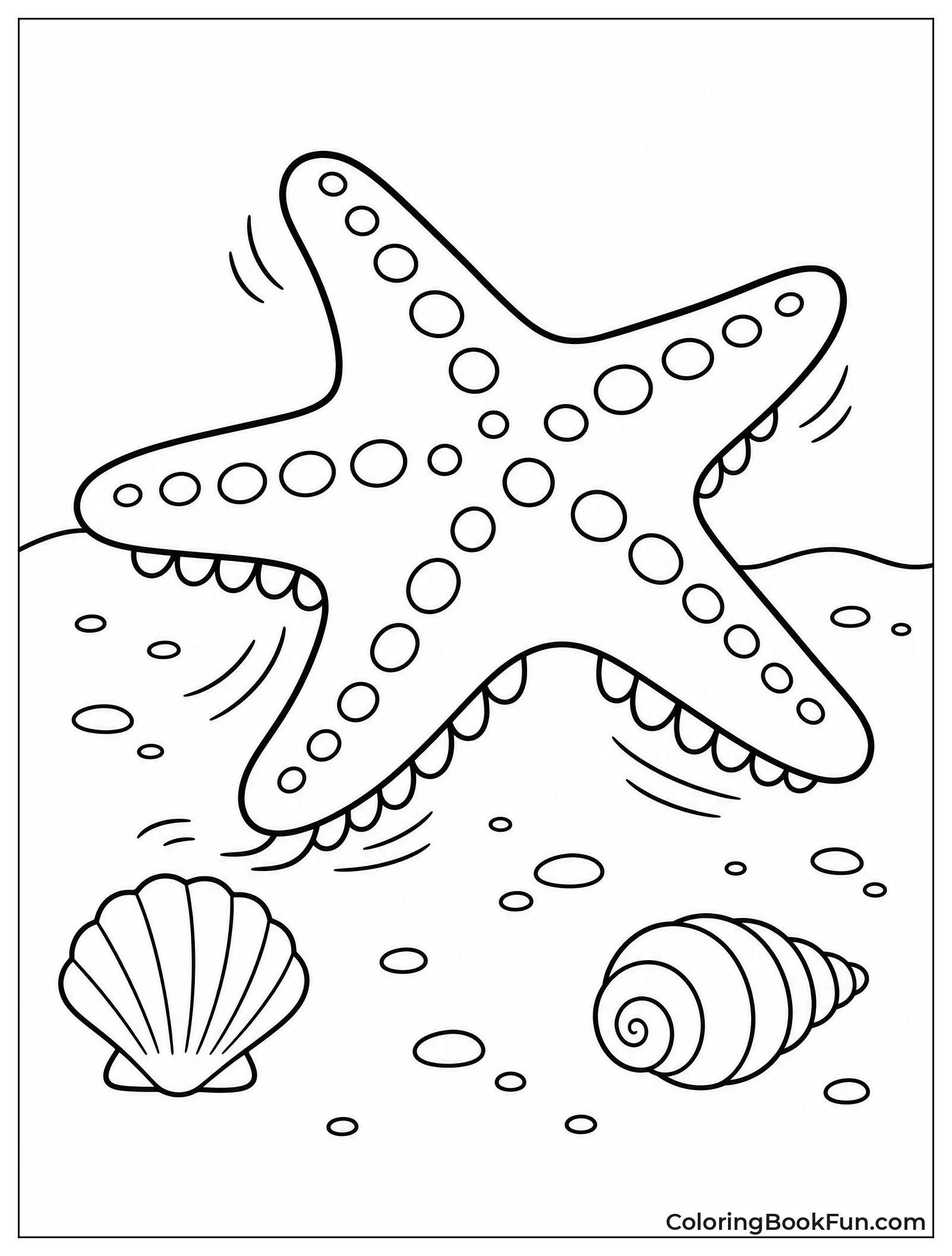 Starfish Crawling Across the Sand