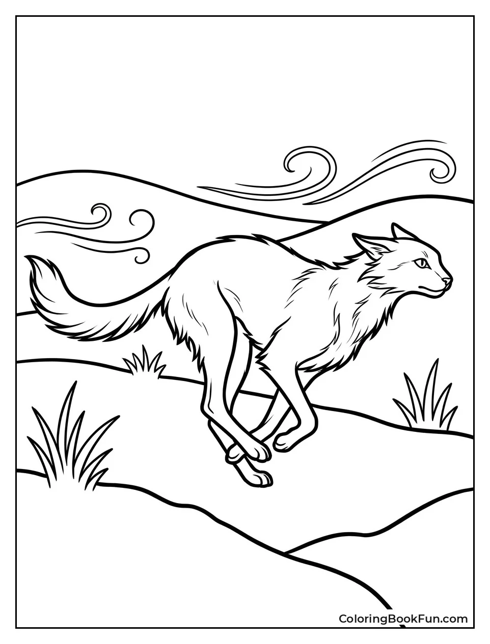 Cat Running Across Windy Moor