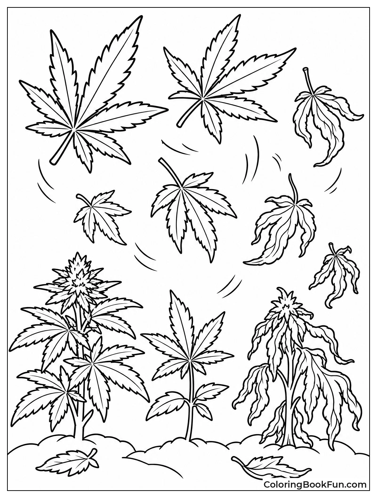 Falling Autumn Cannabis Leaves