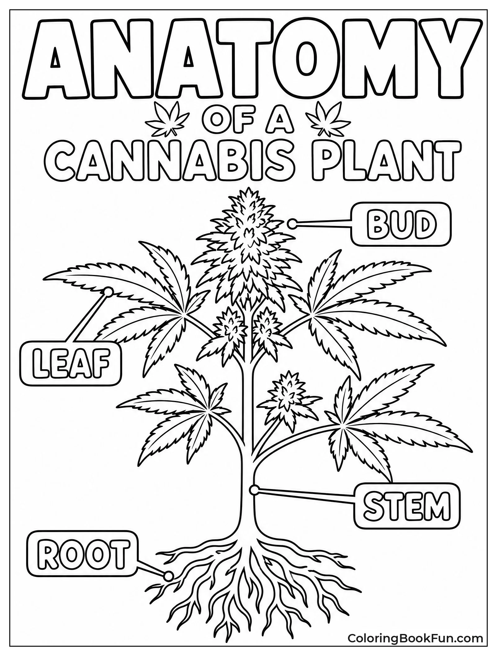 Labeled Diagram of Cannabis Plant