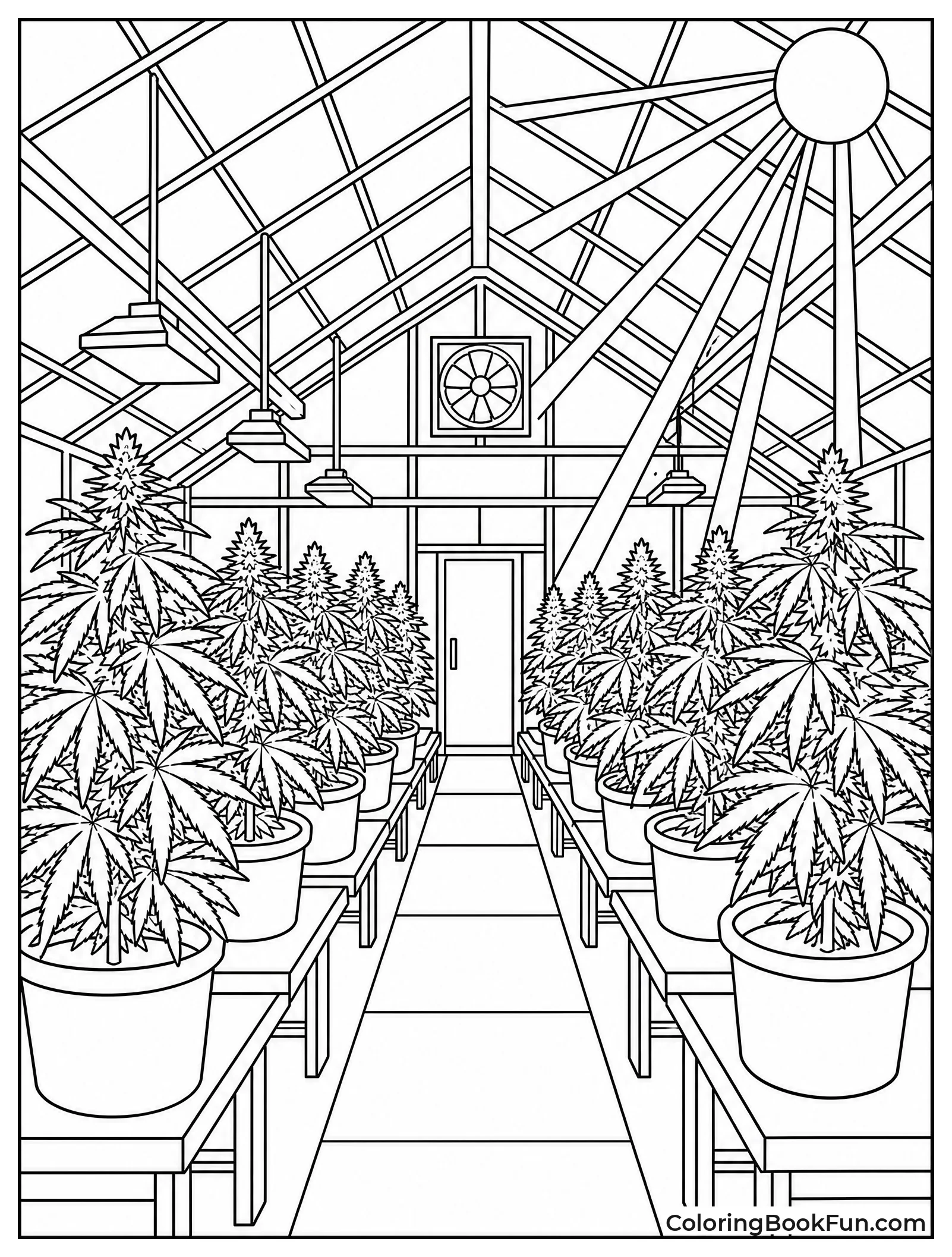 Morning Light in Greenhouse