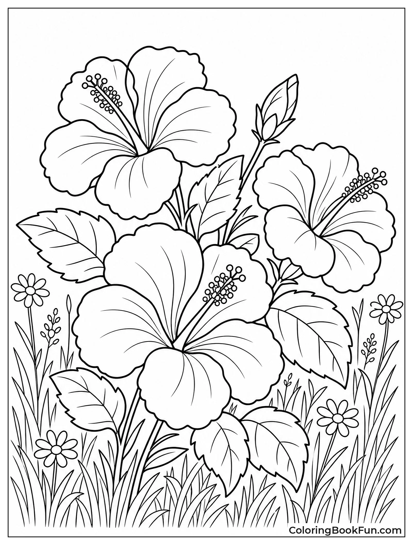 Hibiscus Growing in a Meadow