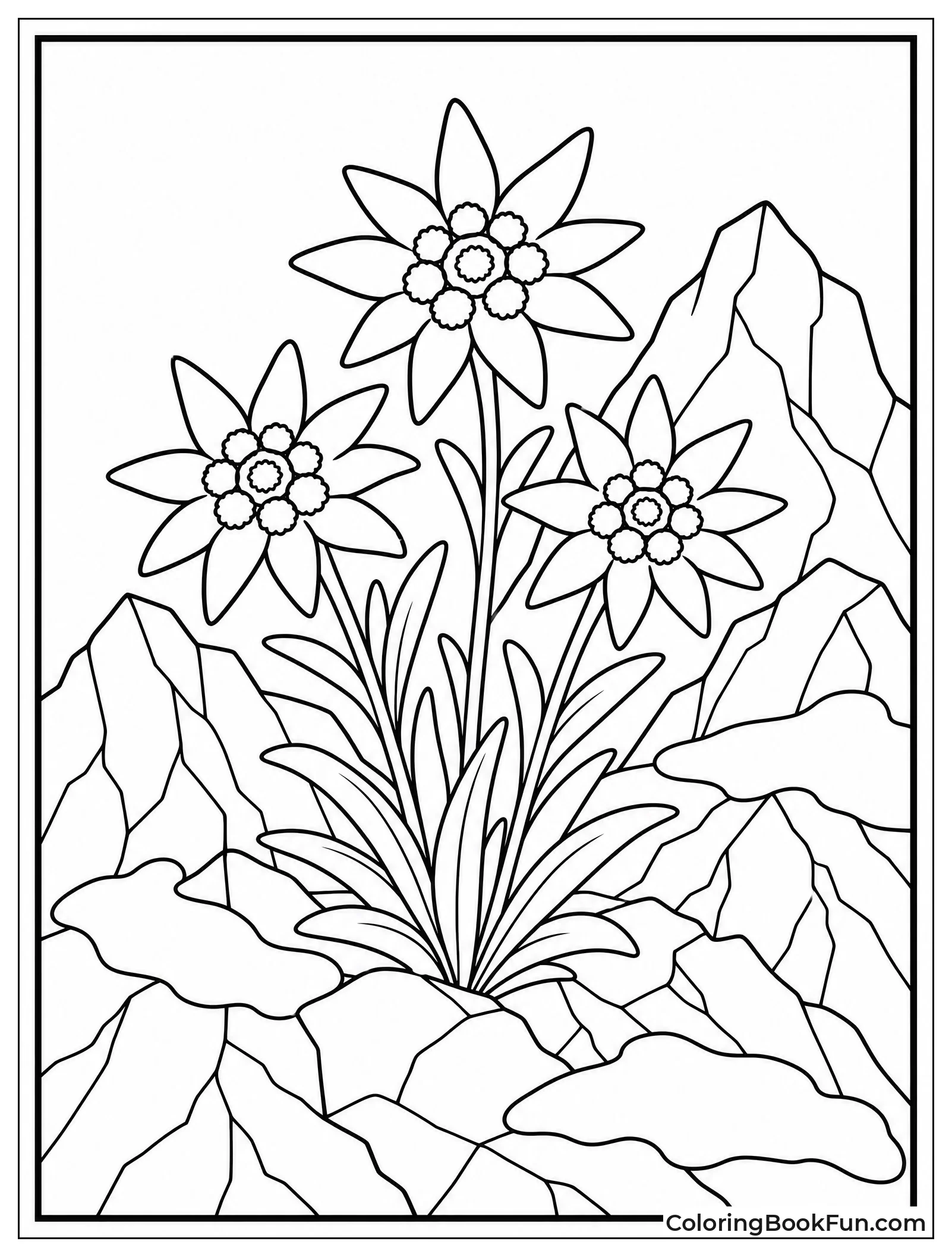 Wildflowers Growing in Mountains