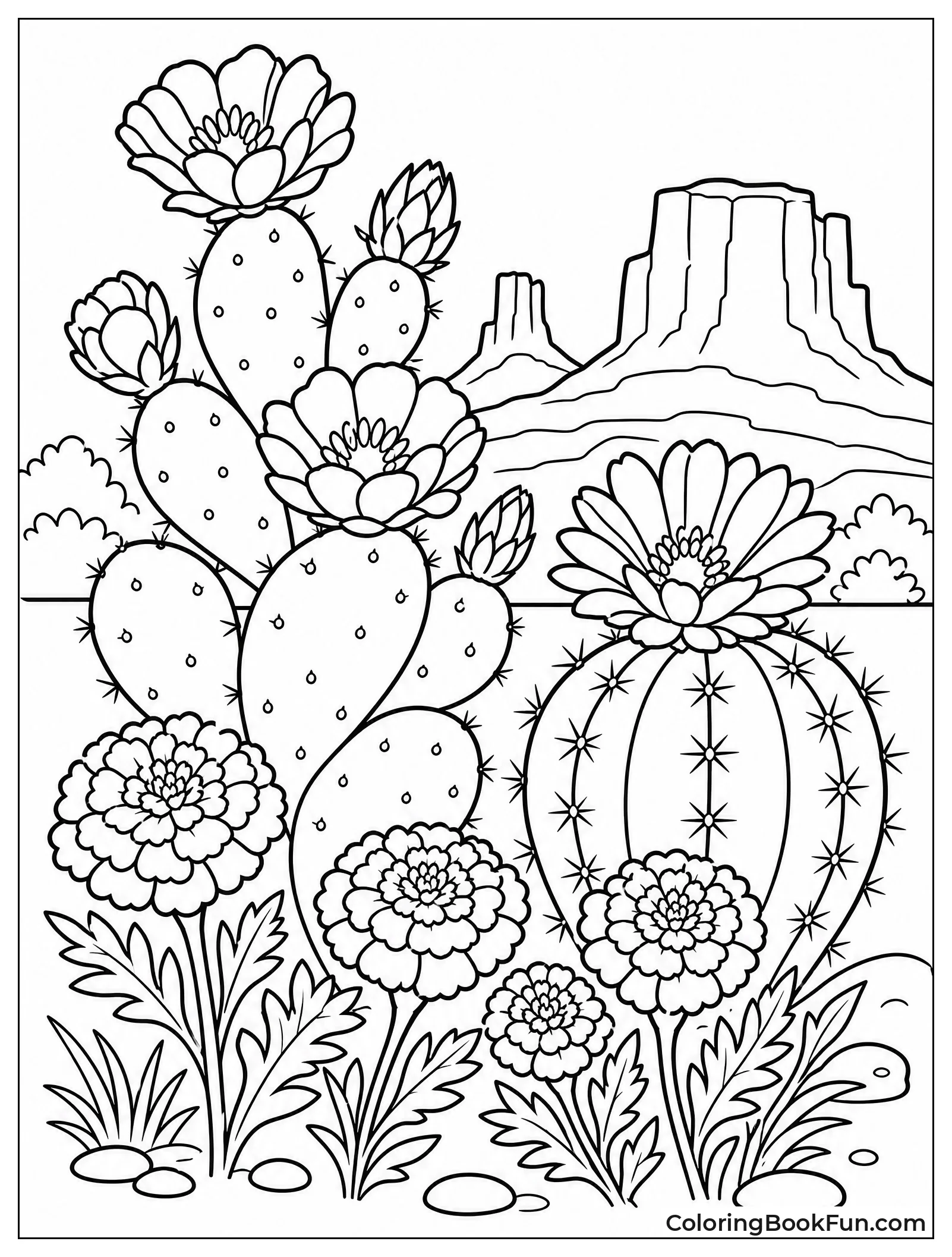 Desert Flowers in Bloom