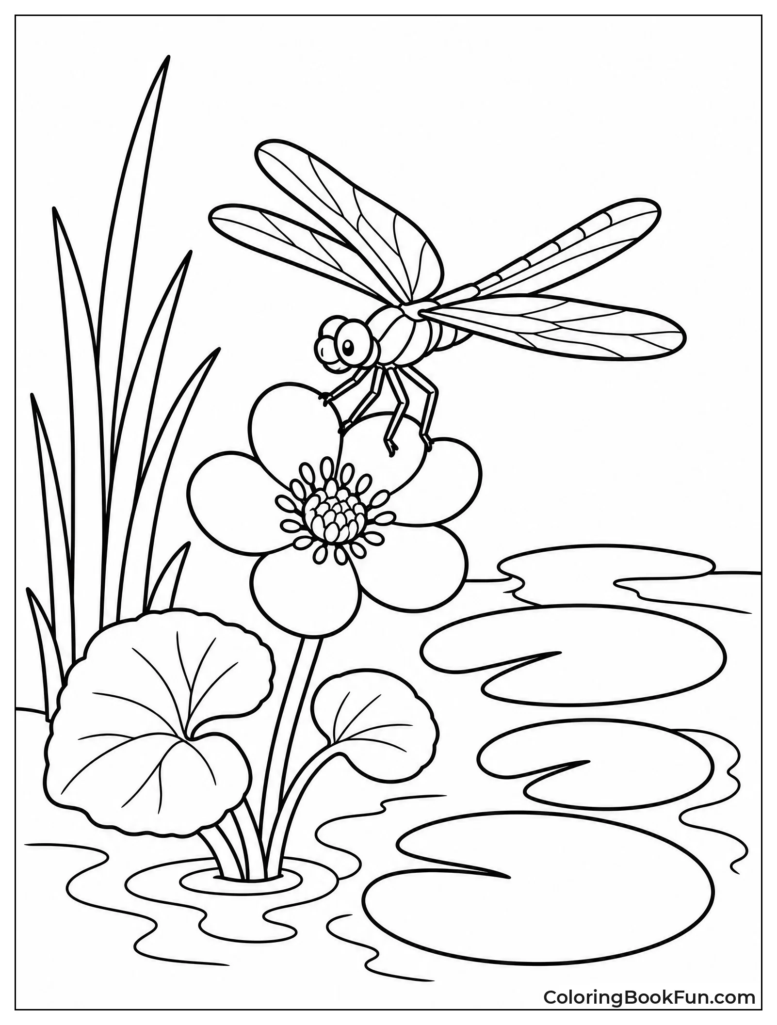 Dragonfly on Flower by Pond