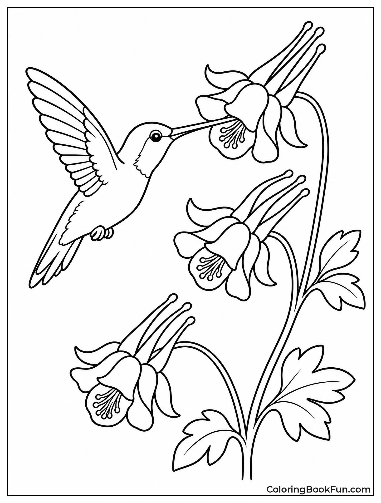 Hummingbird Drinking from Flower