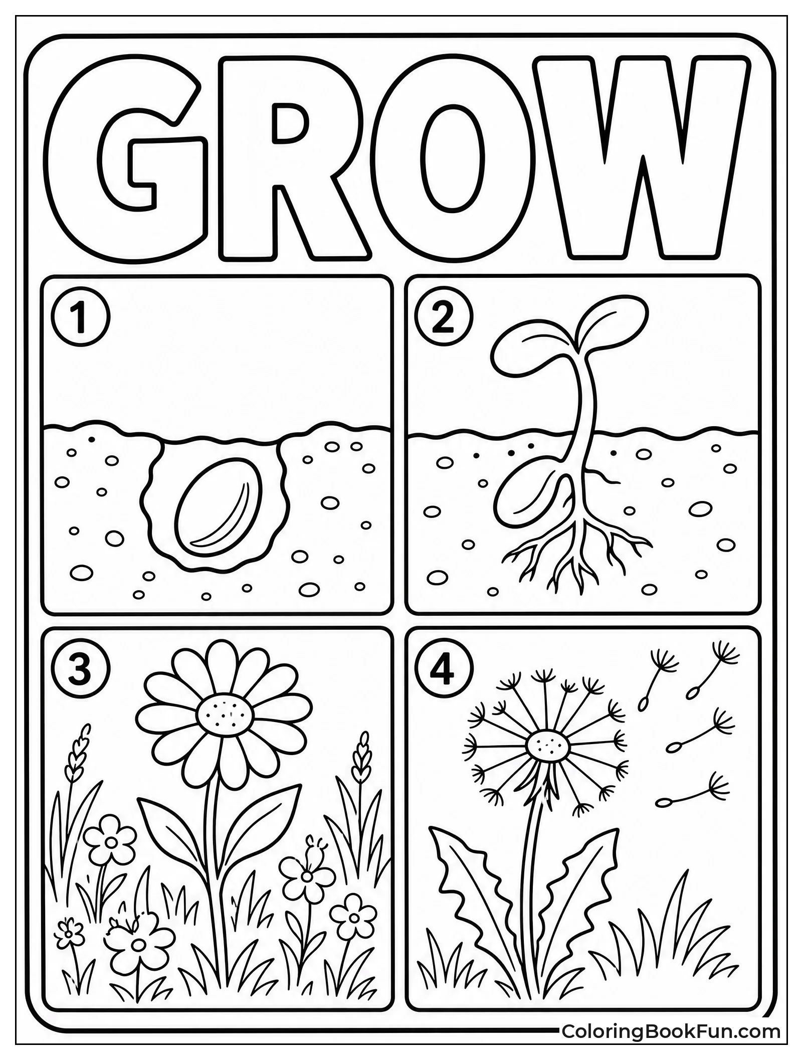 Wildflower Life Cycle Stages