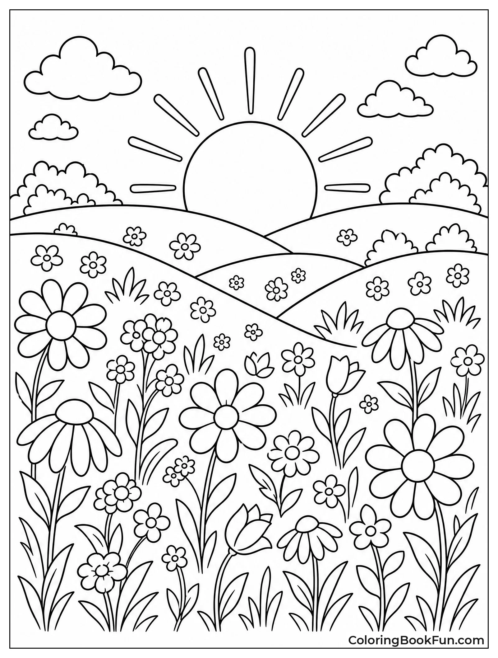 Wildflowers at Sunset in Meadow