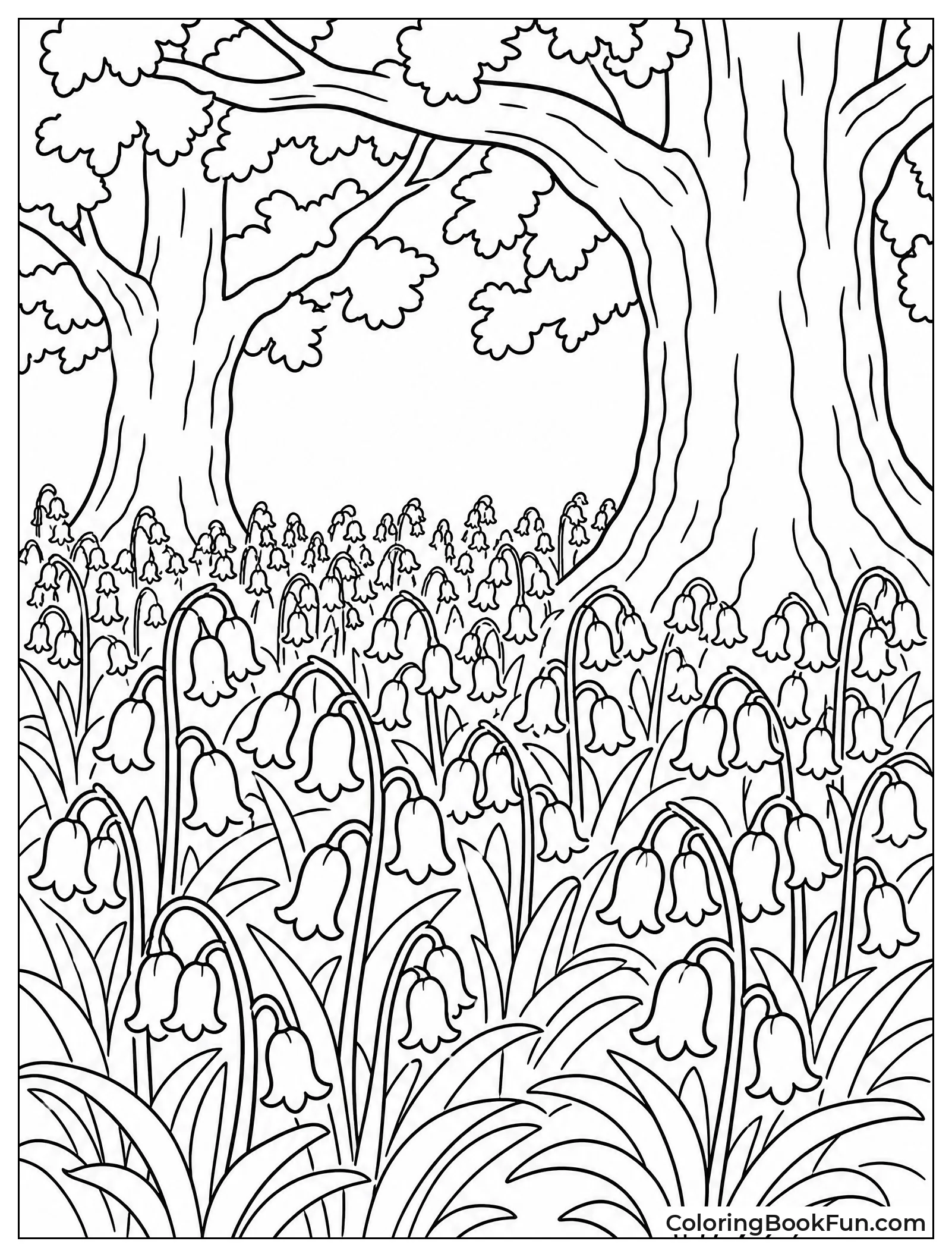Bluebells in the Woods