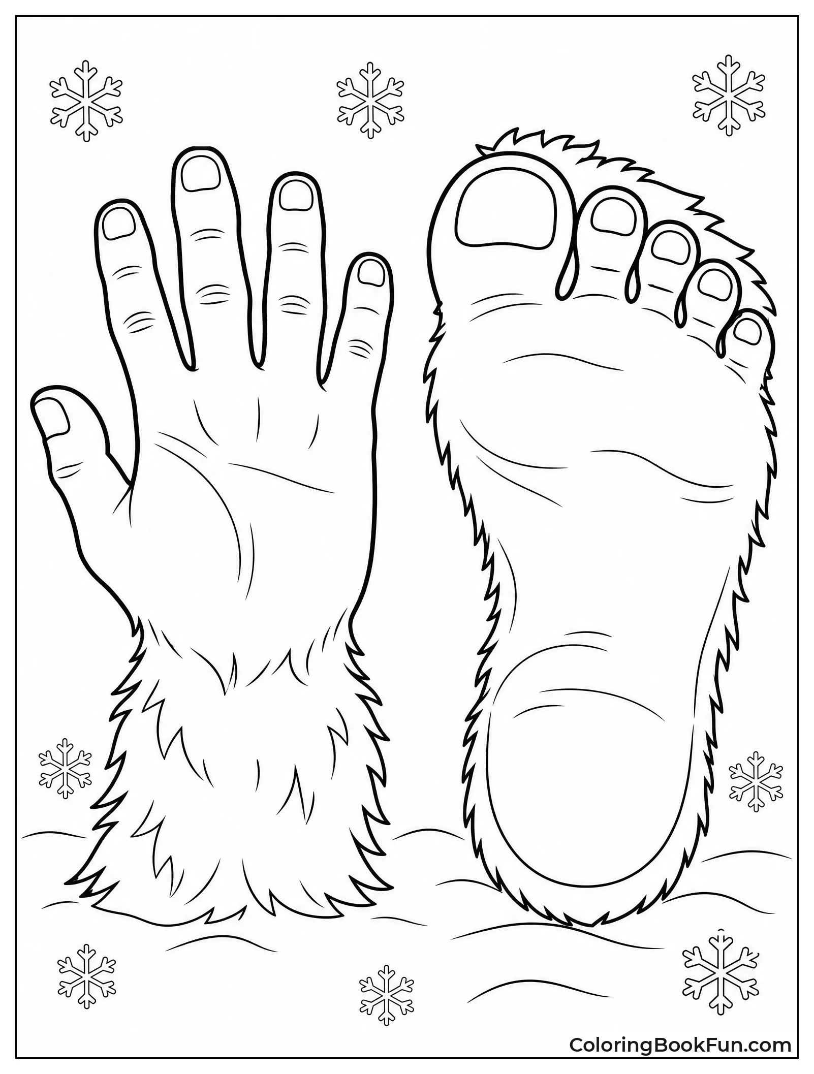 Close Up of Yeti Hand