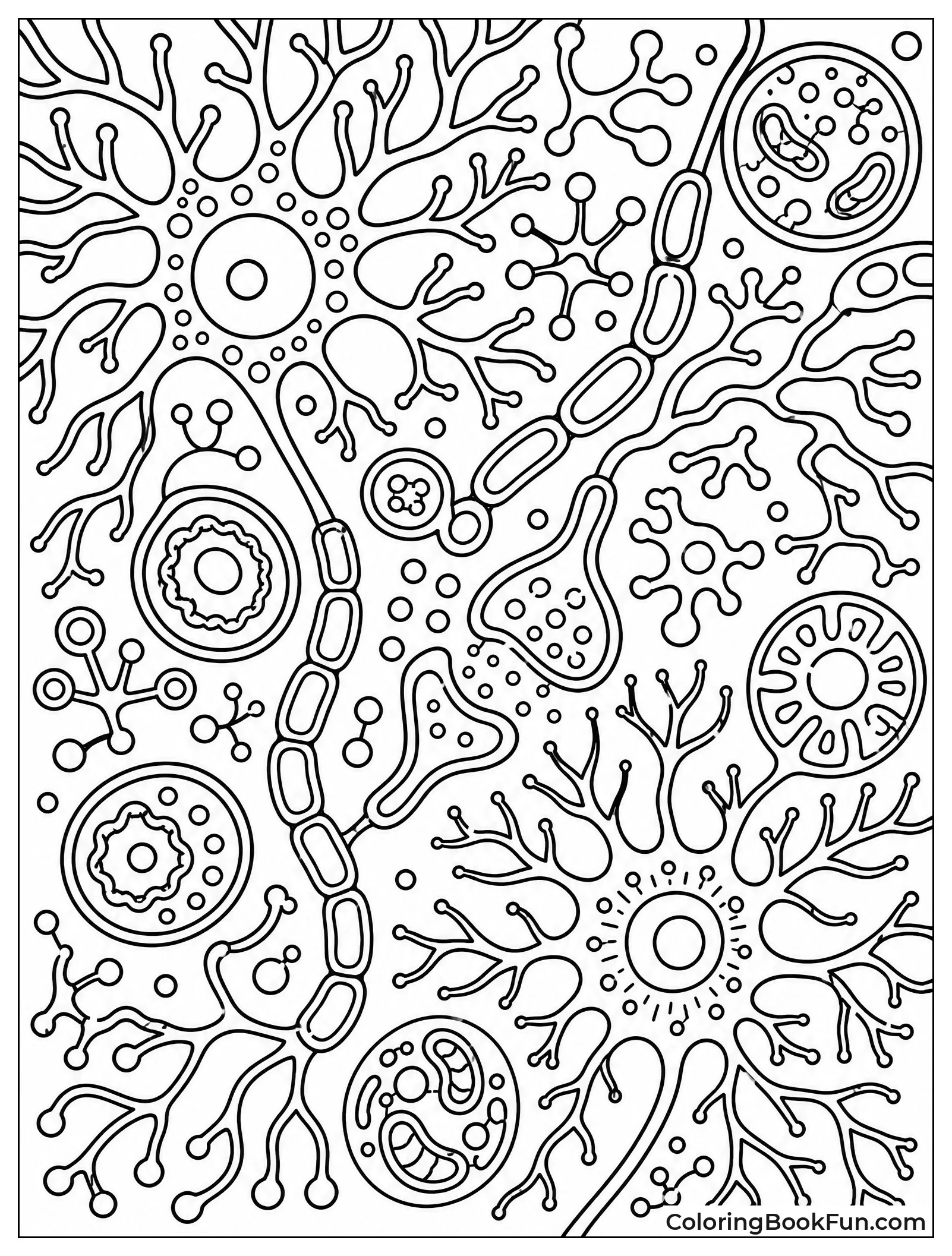 Web of Neurons and Tiny Cells