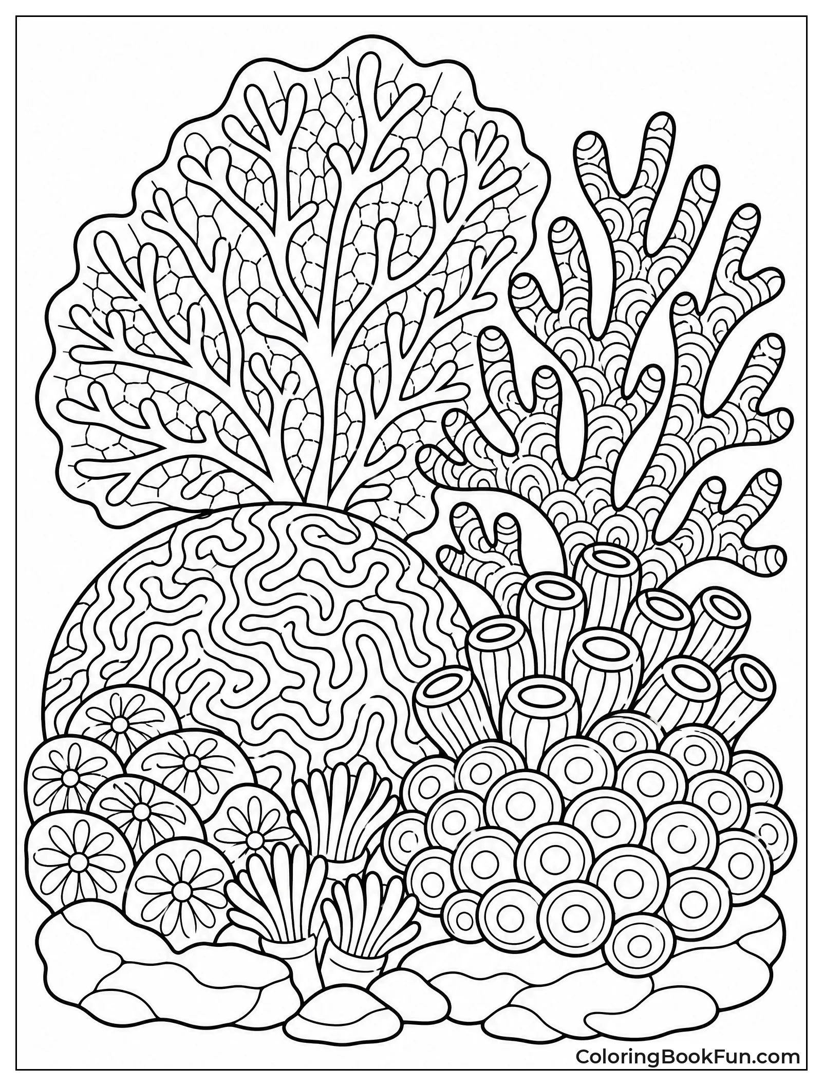 Coral Reef with Organic Textures