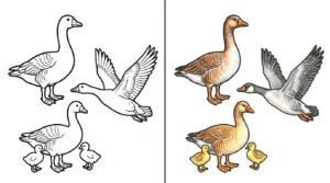 goose coloring pages