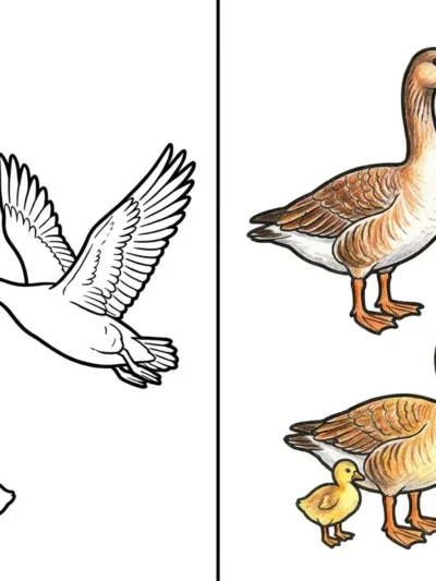 Goose coloring pages