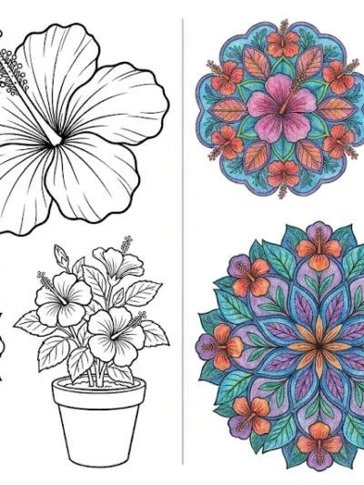 Hibiscus Flower coloring pages
