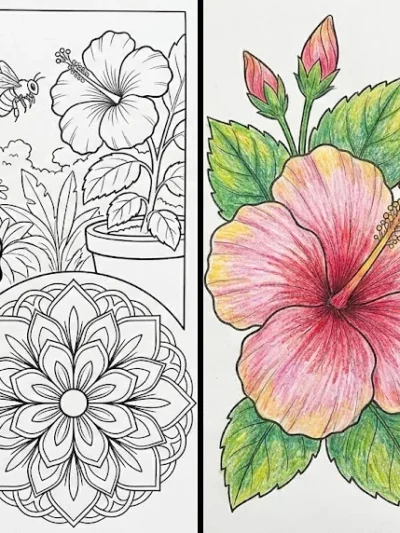 Hibiscus coloring pages