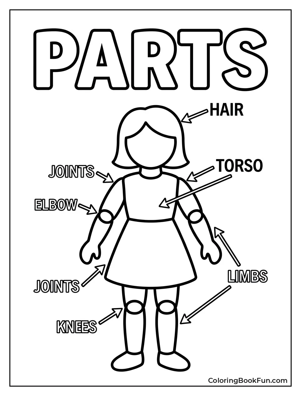 Diagram of Doll Parts