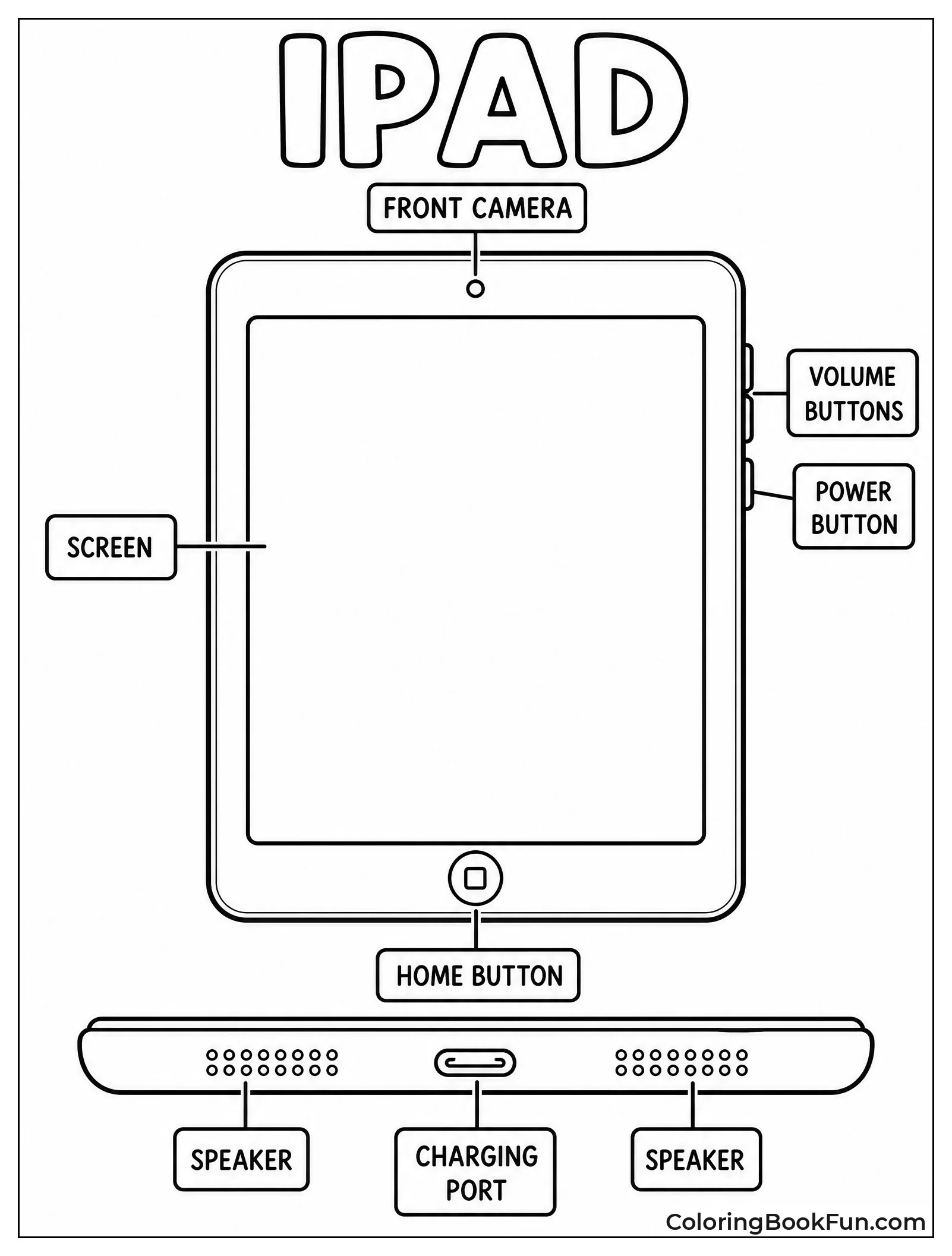 Labeled Parts Show iPad Anatomy